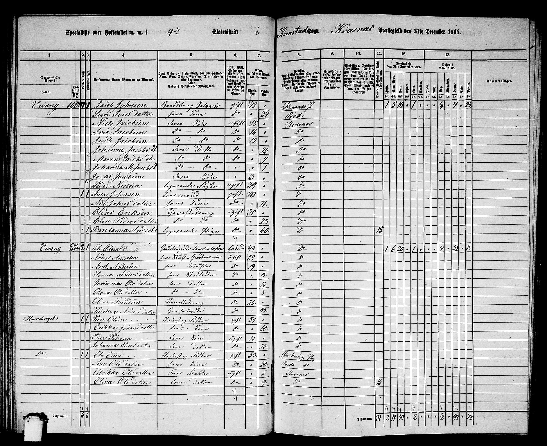 RA, 1865 census for Kvernes, 1865, p. 81