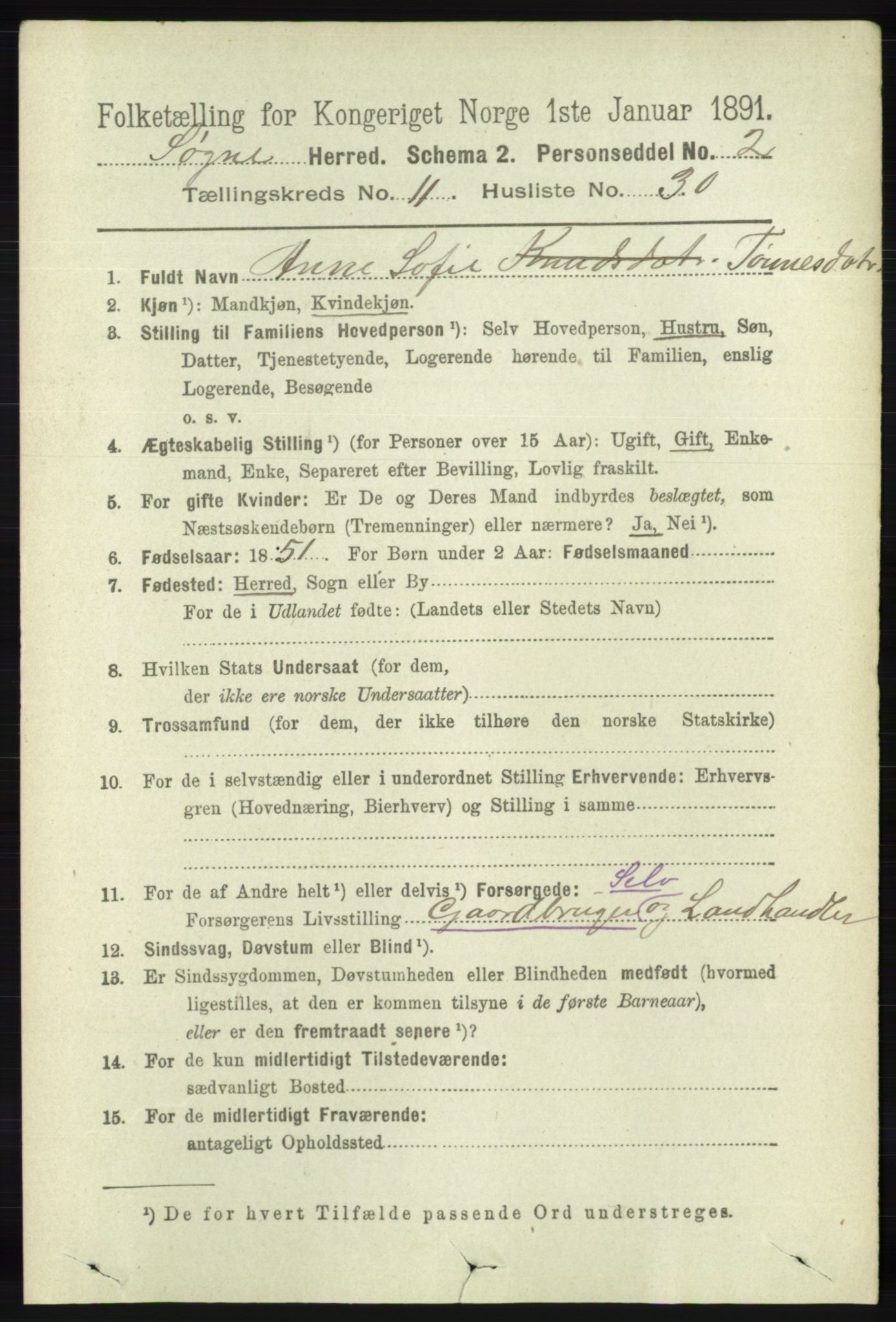 RA, 1891 census for 1018 Søgne, 1891, p. 3095