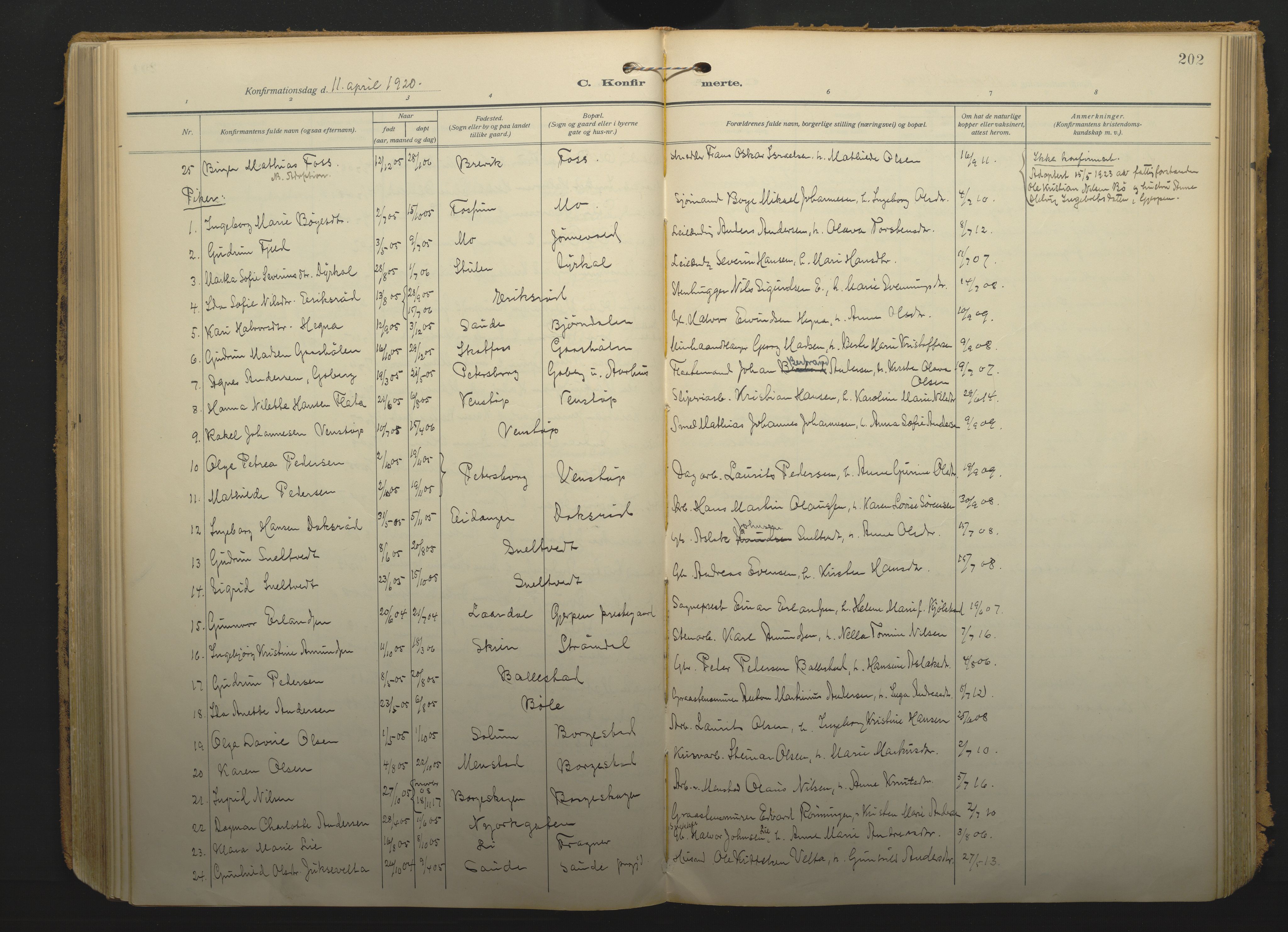 Gjerpen kirkebøker, SAKO/A-265/F/Fa/L0013: Parish register (official) no. I 13, 1914-1924, p. 202