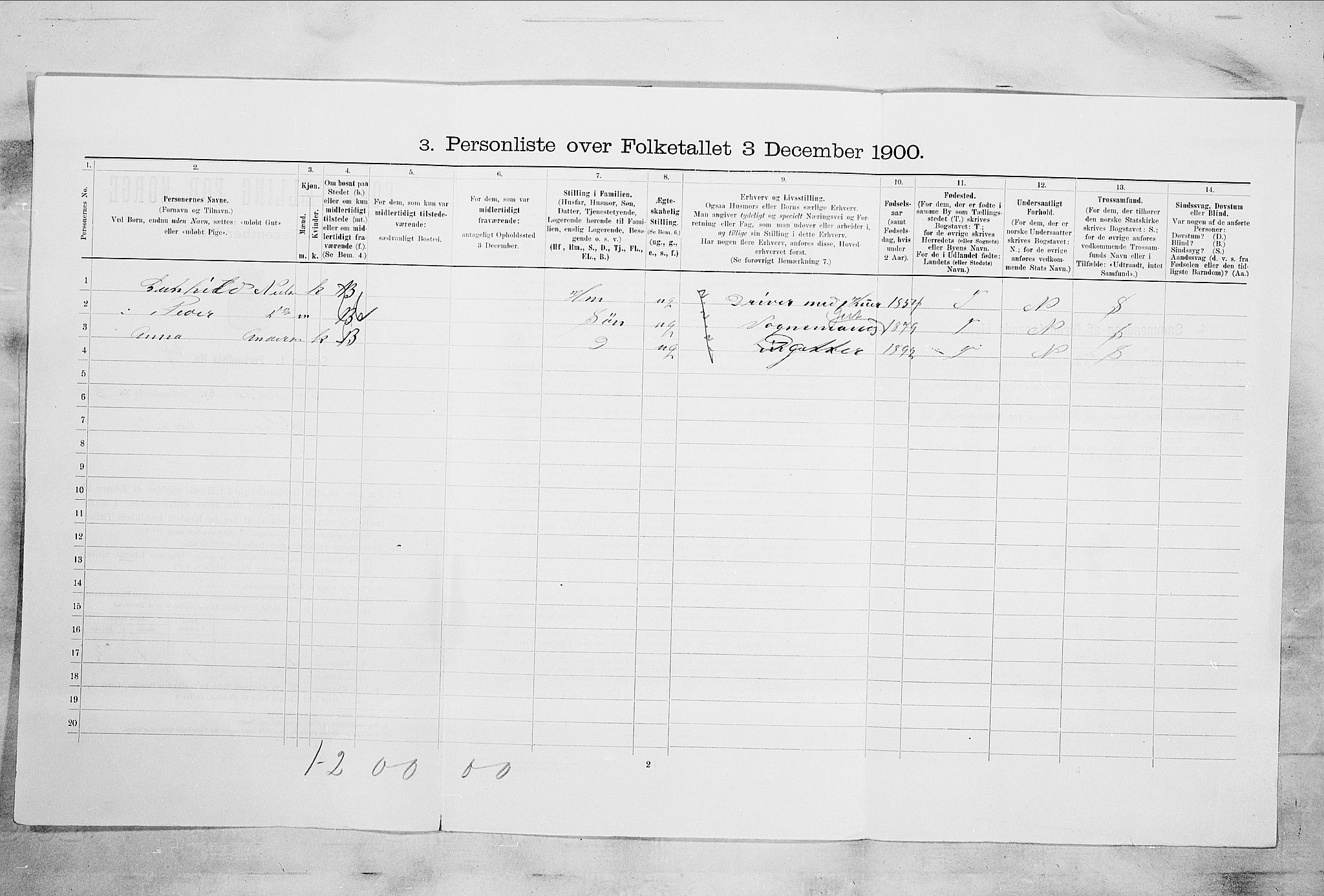 RA, 1900 census for Larvik, 1900, p. 5061