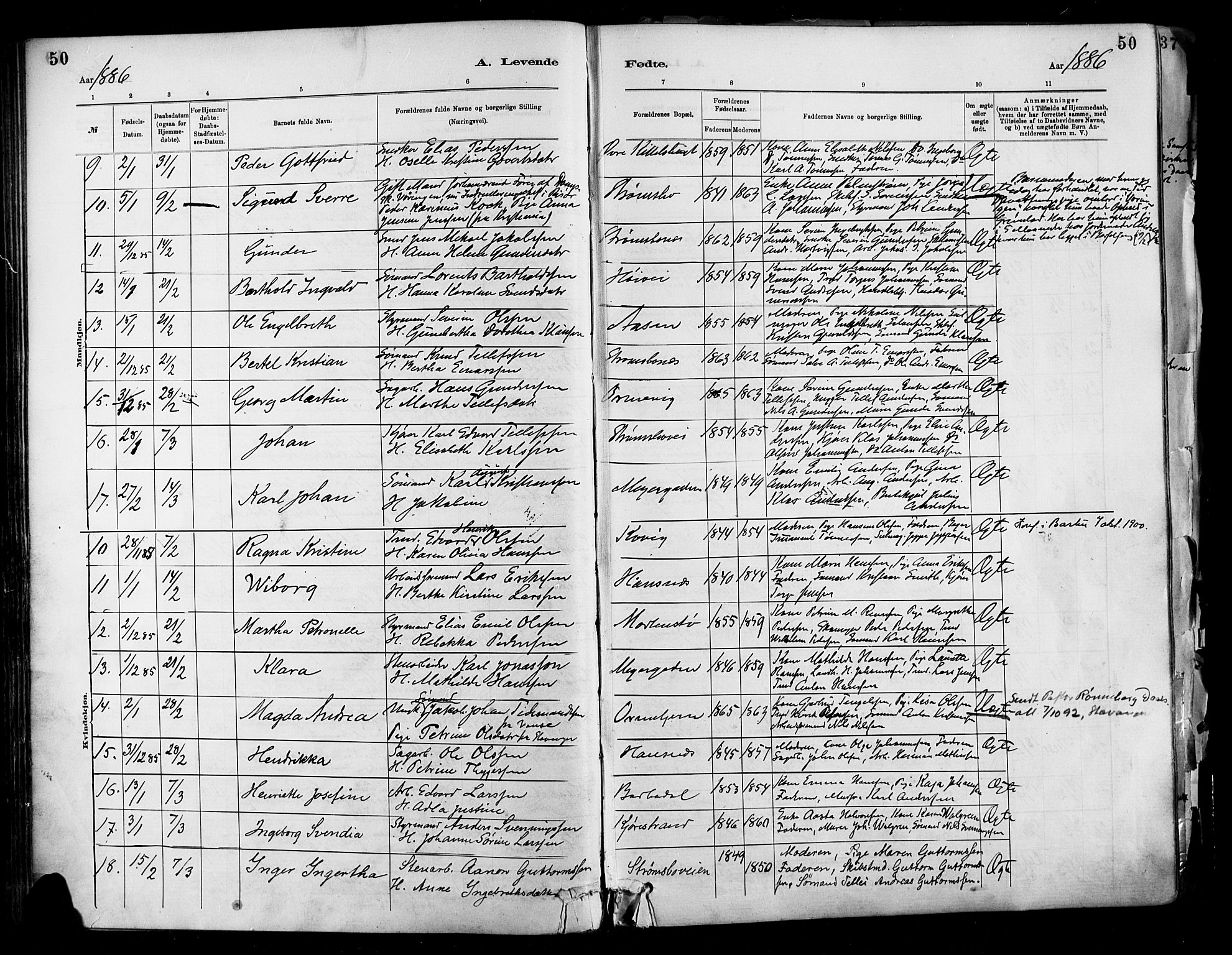 Barbu sokneprestkontor, AV/SAK-1111-0003/F/Fa/L0002: Parish register (official) no. A 2, 1883-1898, p. 50