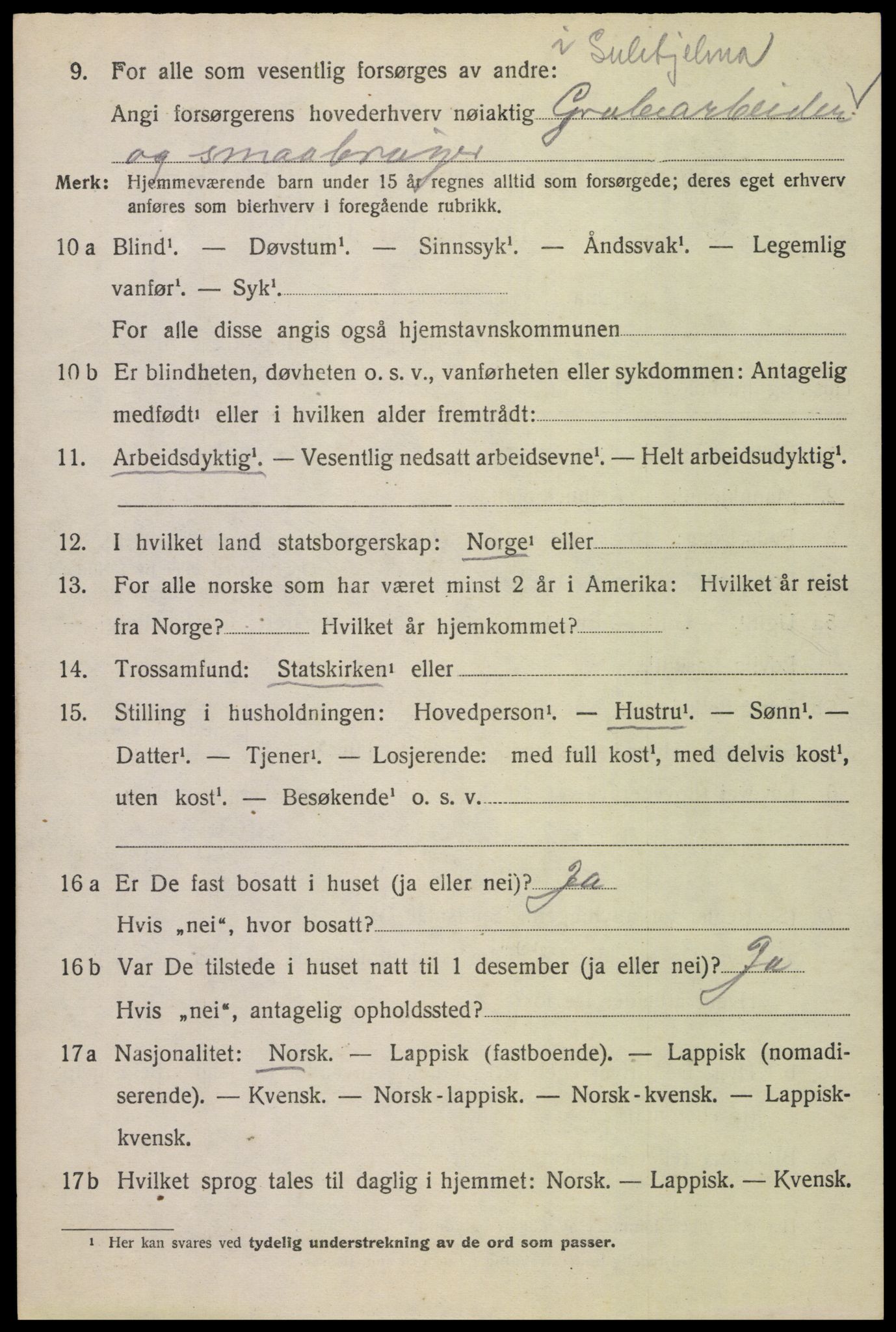 SAT, 1920 census for Skjerstad, 1920, p. 1486