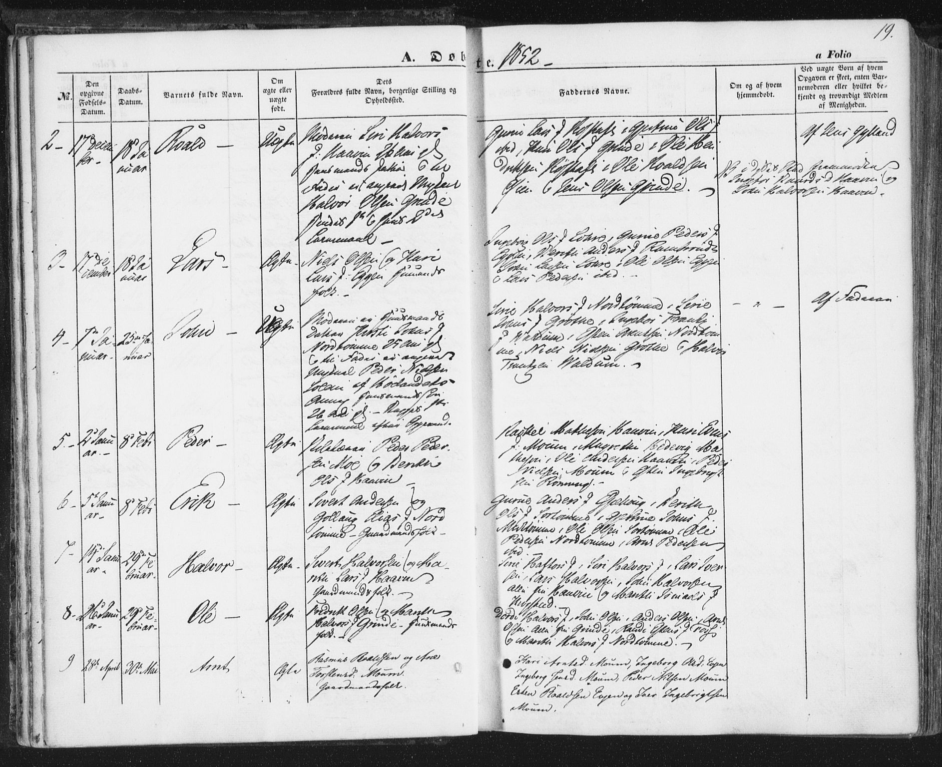 Ministerialprotokoller, klokkerbøker og fødselsregistre - Sør-Trøndelag, SAT/A-1456/692/L1103: Parish register (official) no. 692A03, 1849-1870, p. 19