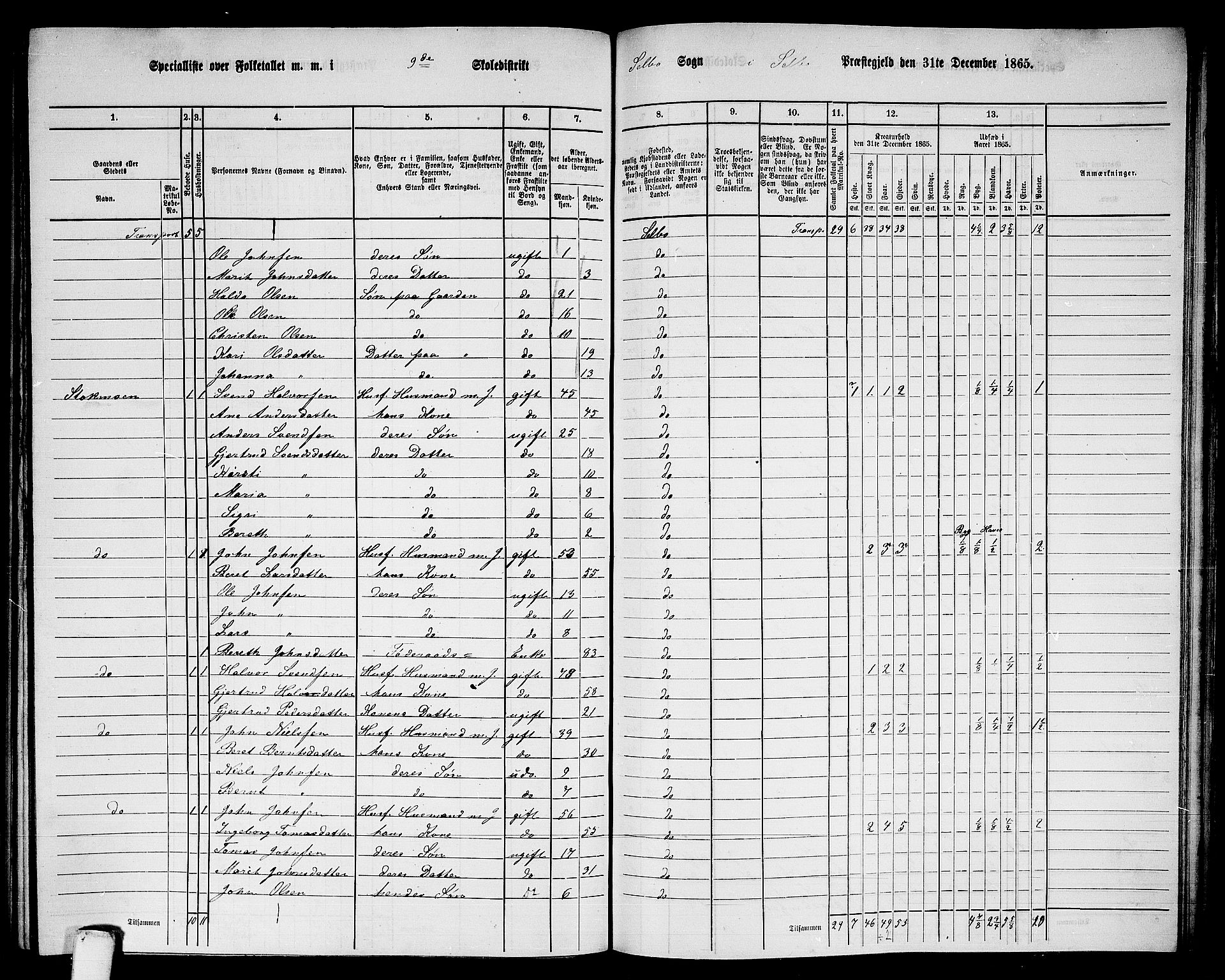 RA, 1865 census for Selbu, 1865, p. 158