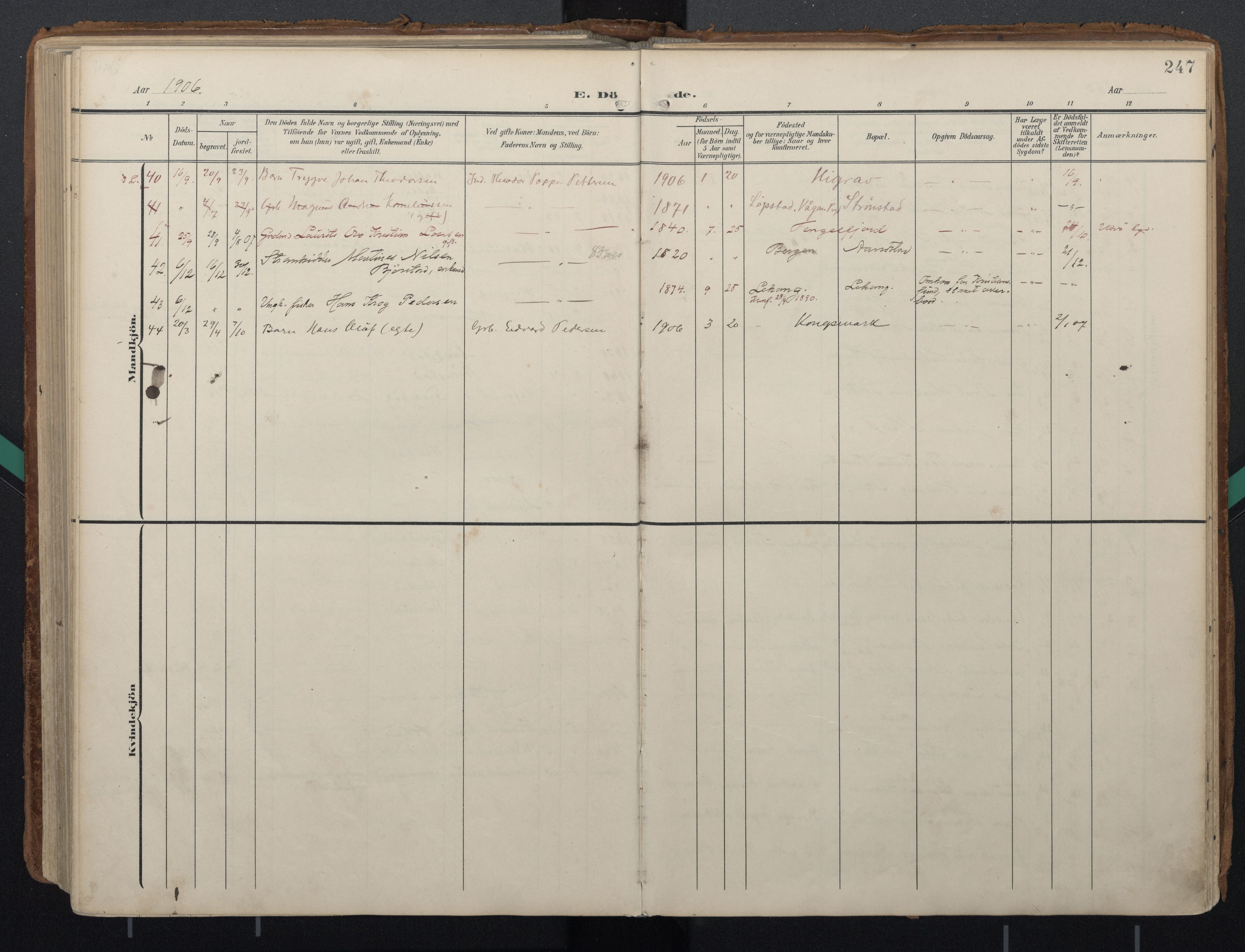 Ministerialprotokoller, klokkerbøker og fødselsregistre - Nordland, AV/SAT-A-1459/888/L1248: Parish register (official) no. 888A14, 1904-1913, p. 247