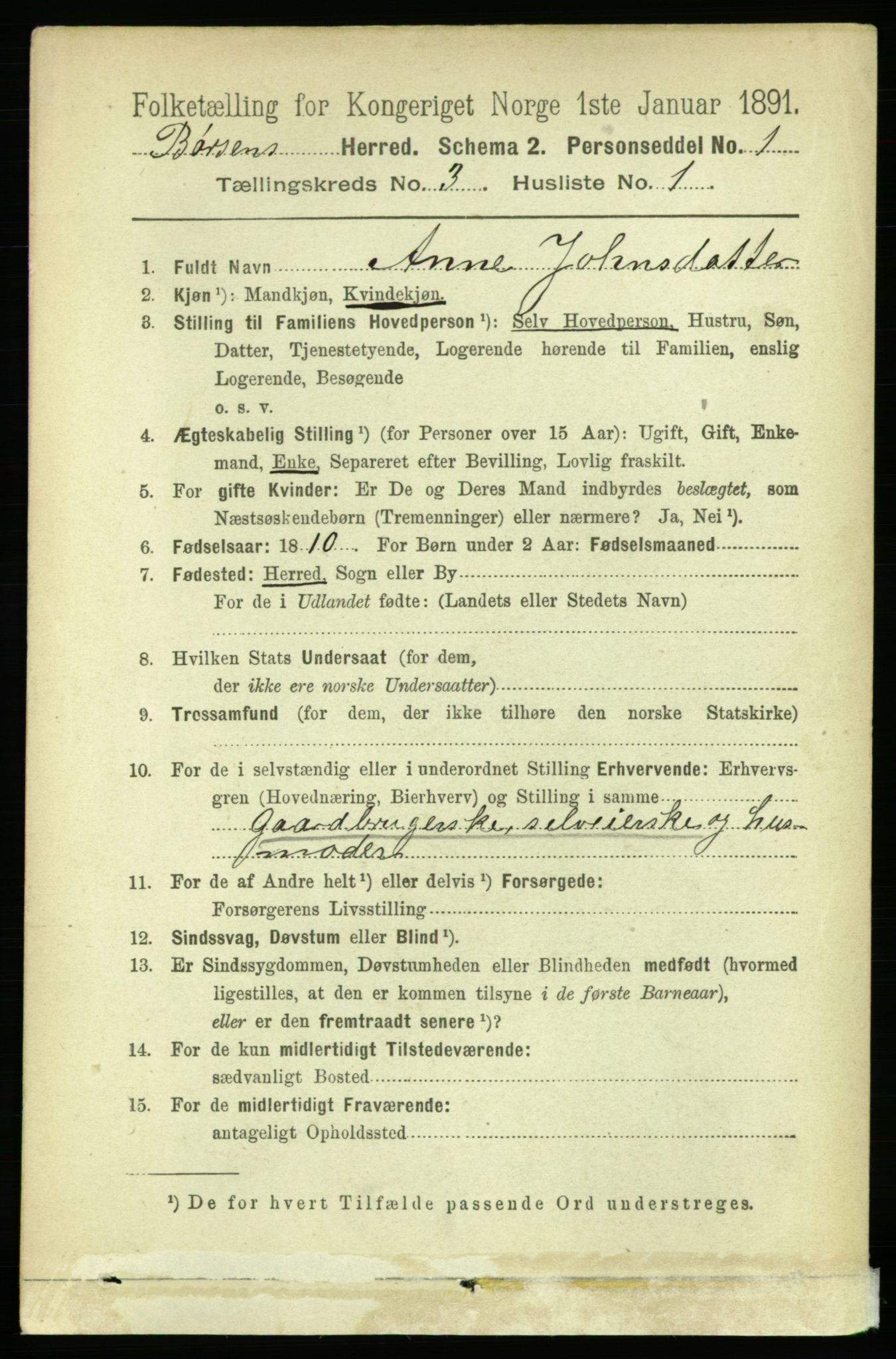 RA, 1891 census for 1658 Børsa, 1891, p. 881