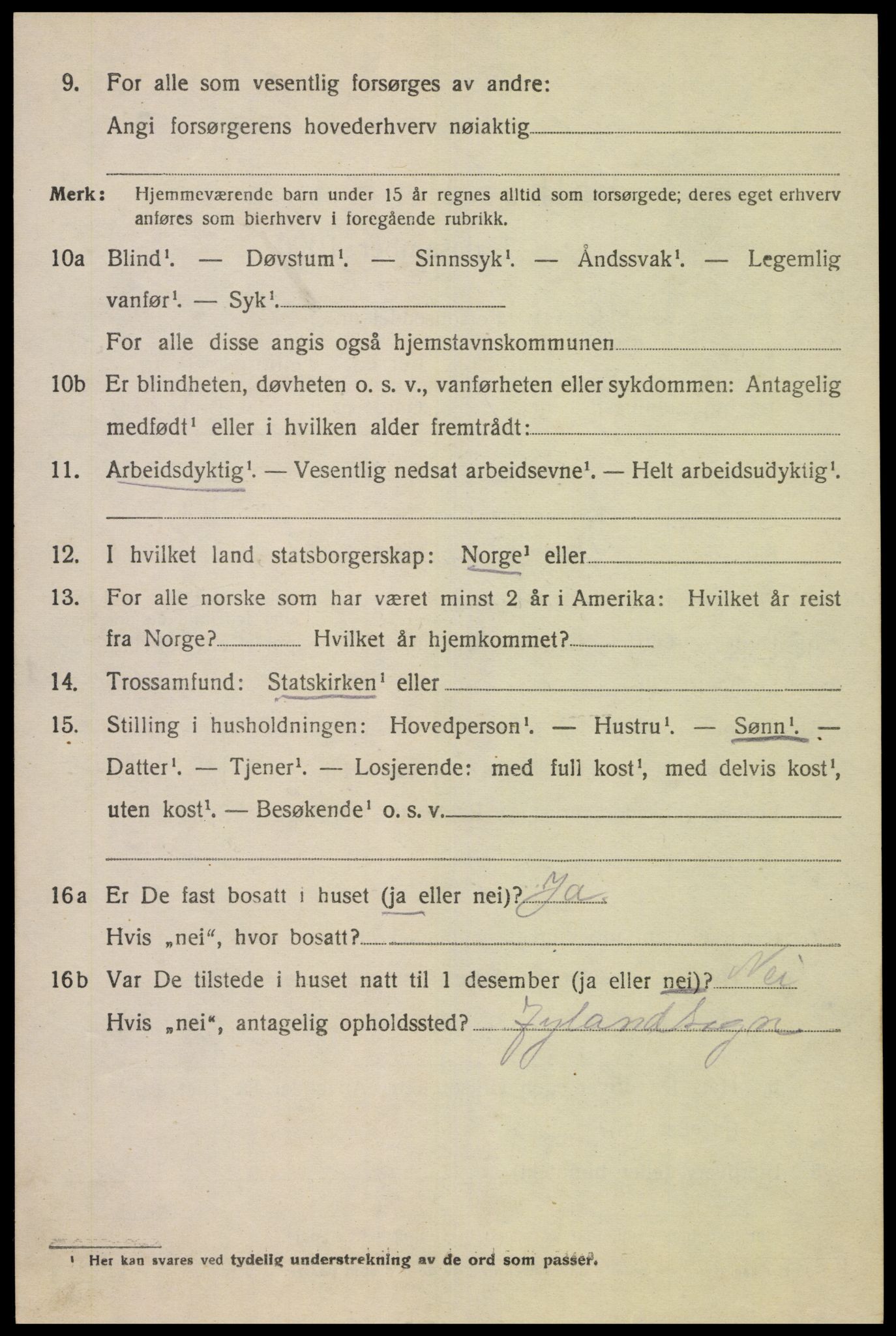 SAK, 1920 census for Øvre Sirdal, 1920, p. 538