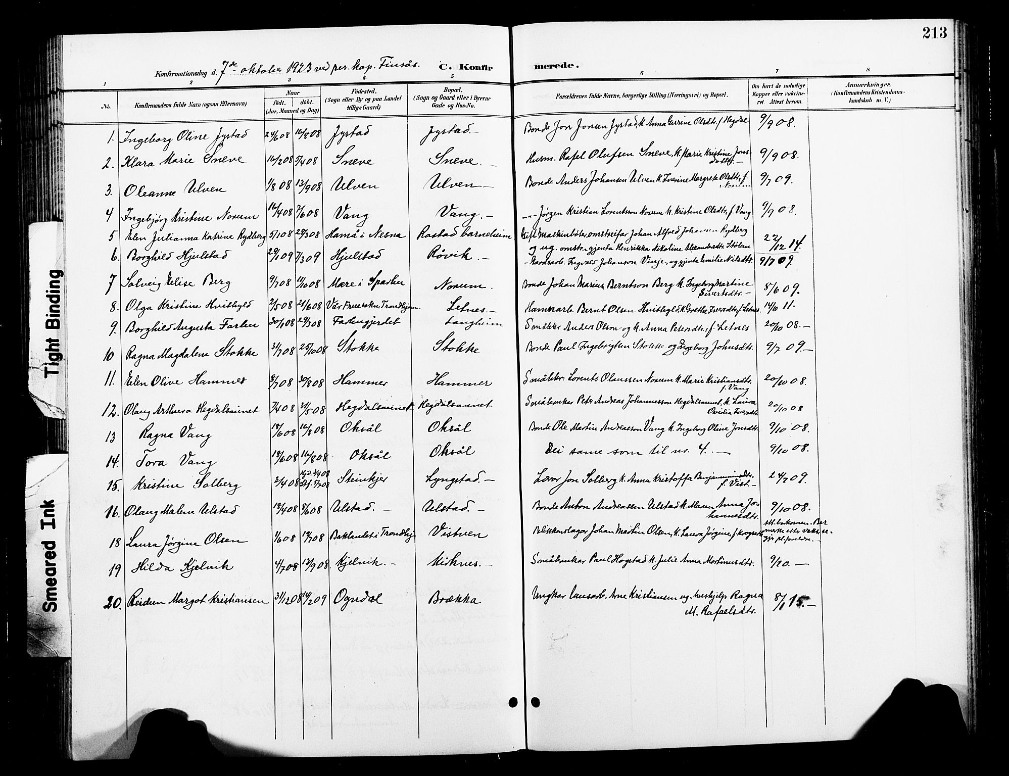 Ministerialprotokoller, klokkerbøker og fødselsregistre - Nord-Trøndelag, AV/SAT-A-1458/730/L0302: Parish register (copy) no. 730C05, 1898-1924, p. 213