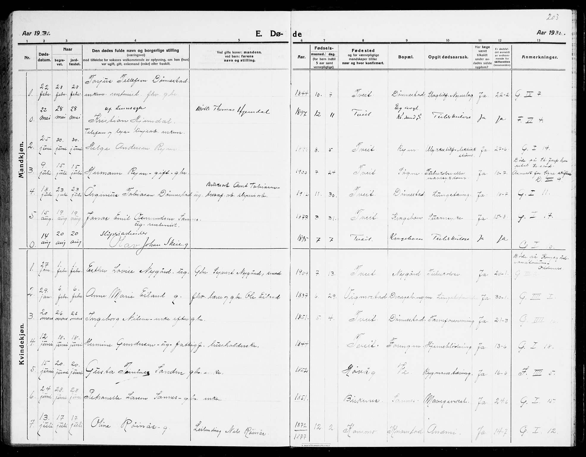 Tveit sokneprestkontor, AV/SAK-1111-0043/F/Fb/L0005: Parish register (copy) no. B 5, 1915-1941, p. 203