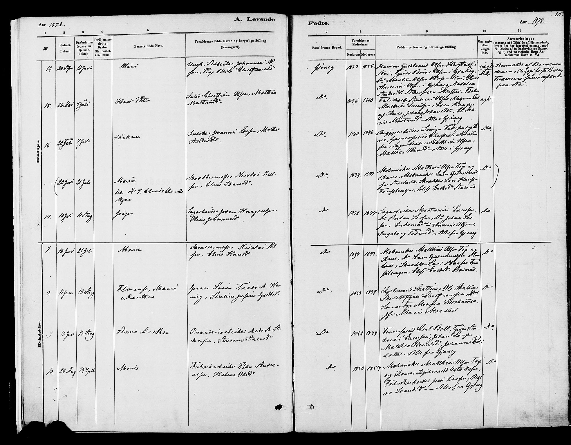 Vardal prestekontor, SAH/PREST-100/H/Ha/Haa/L0008: Parish register (official) no. 8, 1878-1890, p. 215