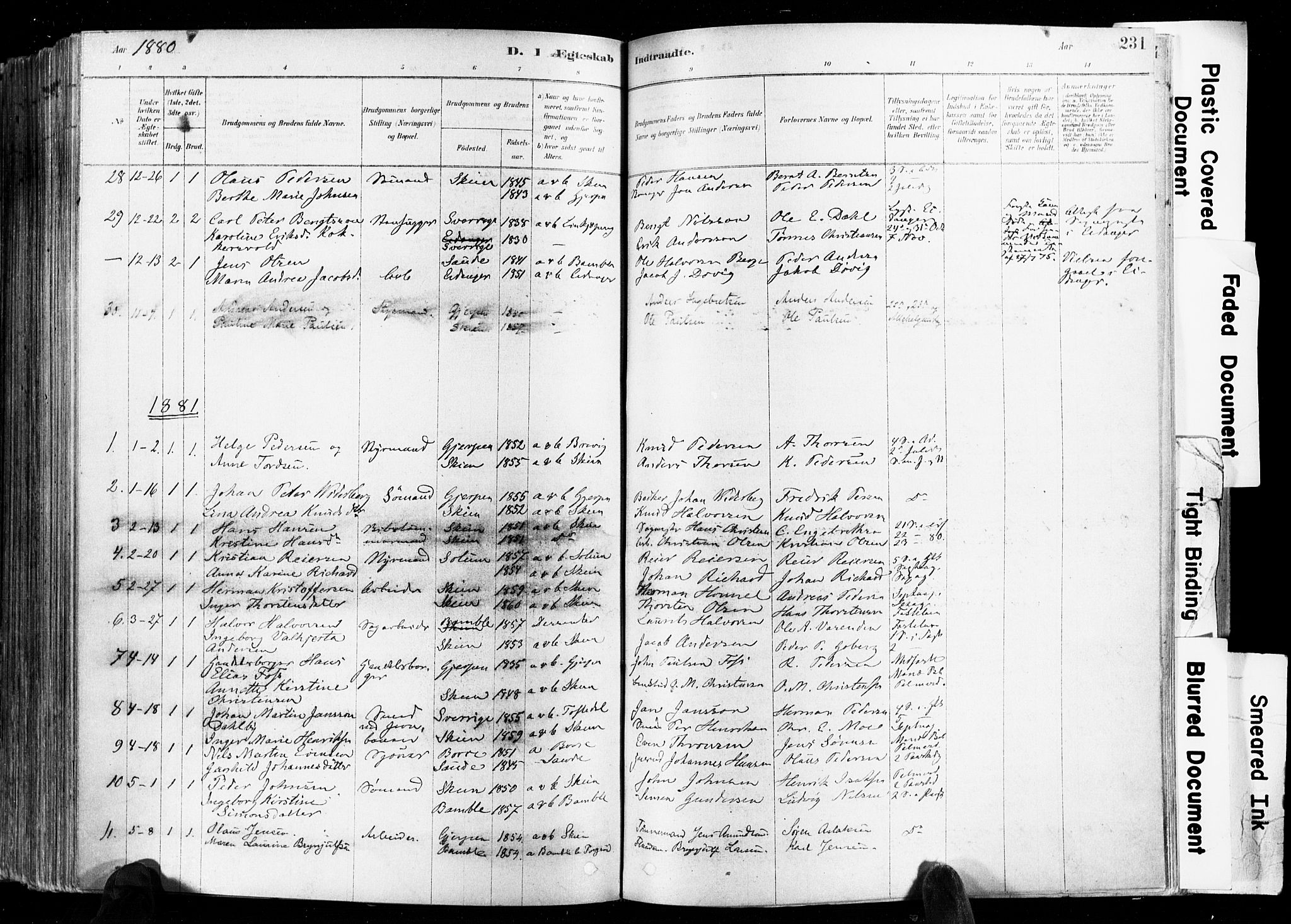 Skien kirkebøker, AV/SAKO-A-302/F/Fa/L0009: Parish register (official) no. 9, 1878-1890, p. 231