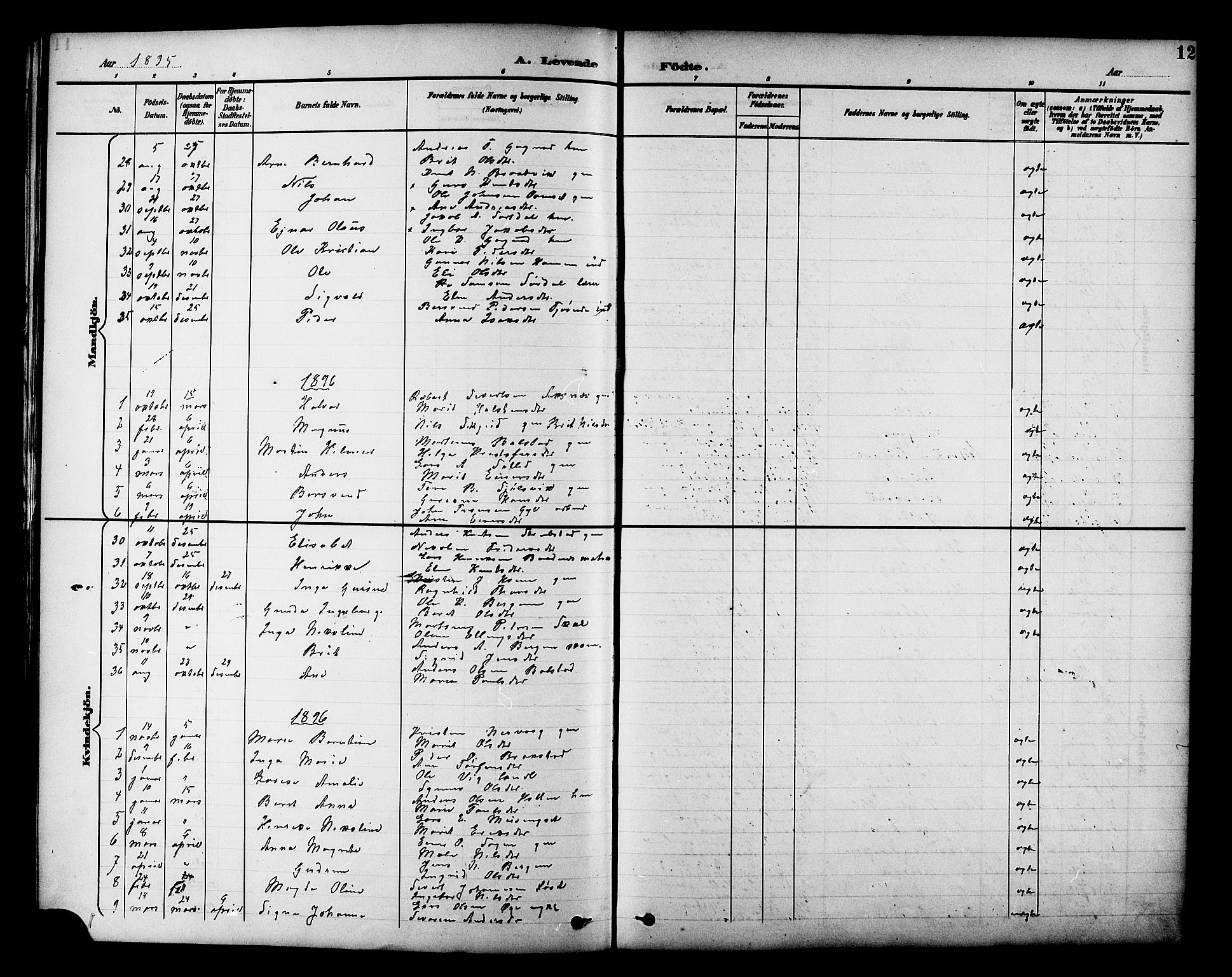 Ministerialprotokoller, klokkerbøker og fødselsregistre - Møre og Romsdal, AV/SAT-A-1454/586/L0992: Parish register (copy) no. 586C03, 1892-1909, p. 12