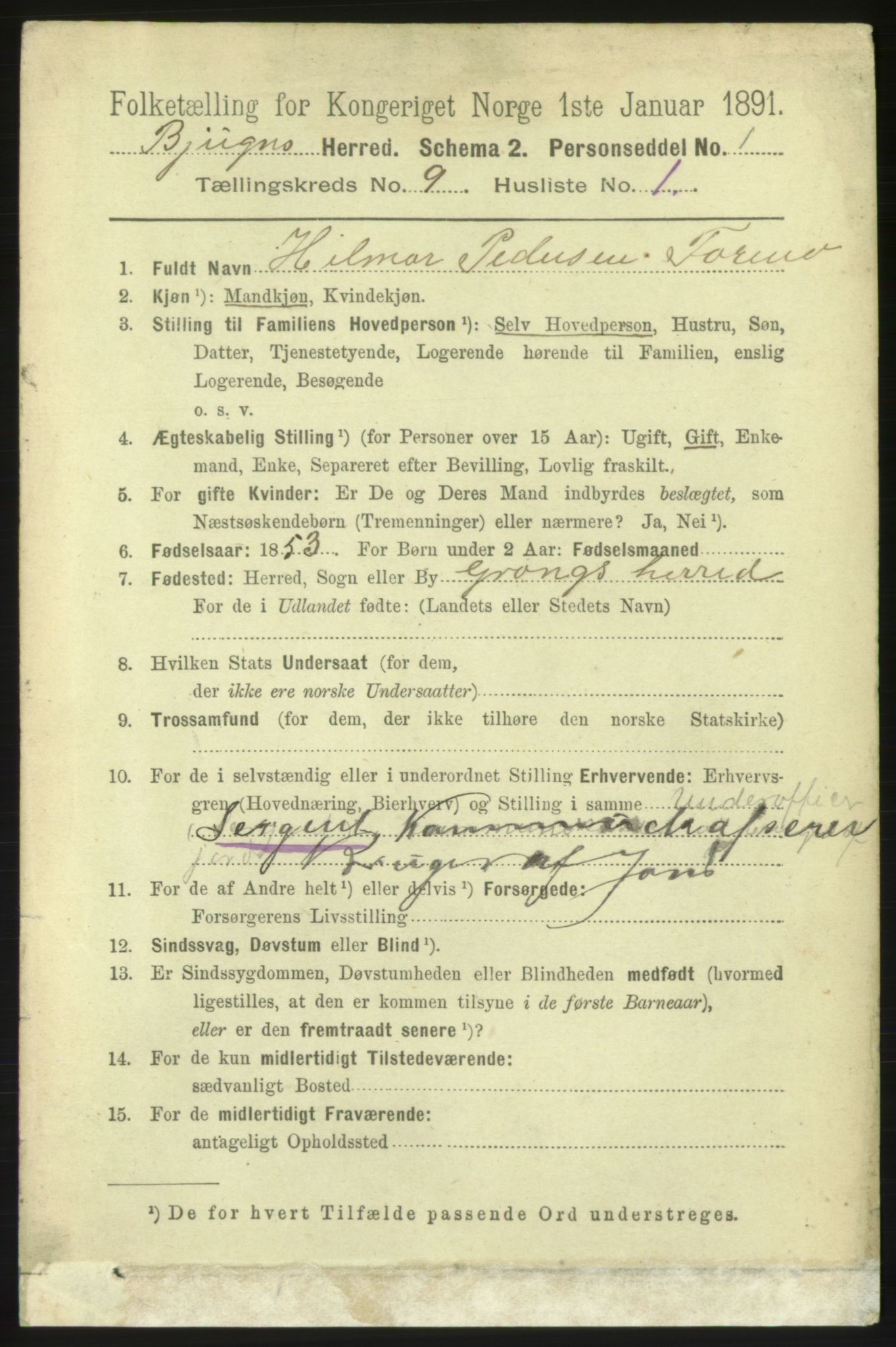 RA, 1891 census for 1627 Bjugn, 1891, p. 2383