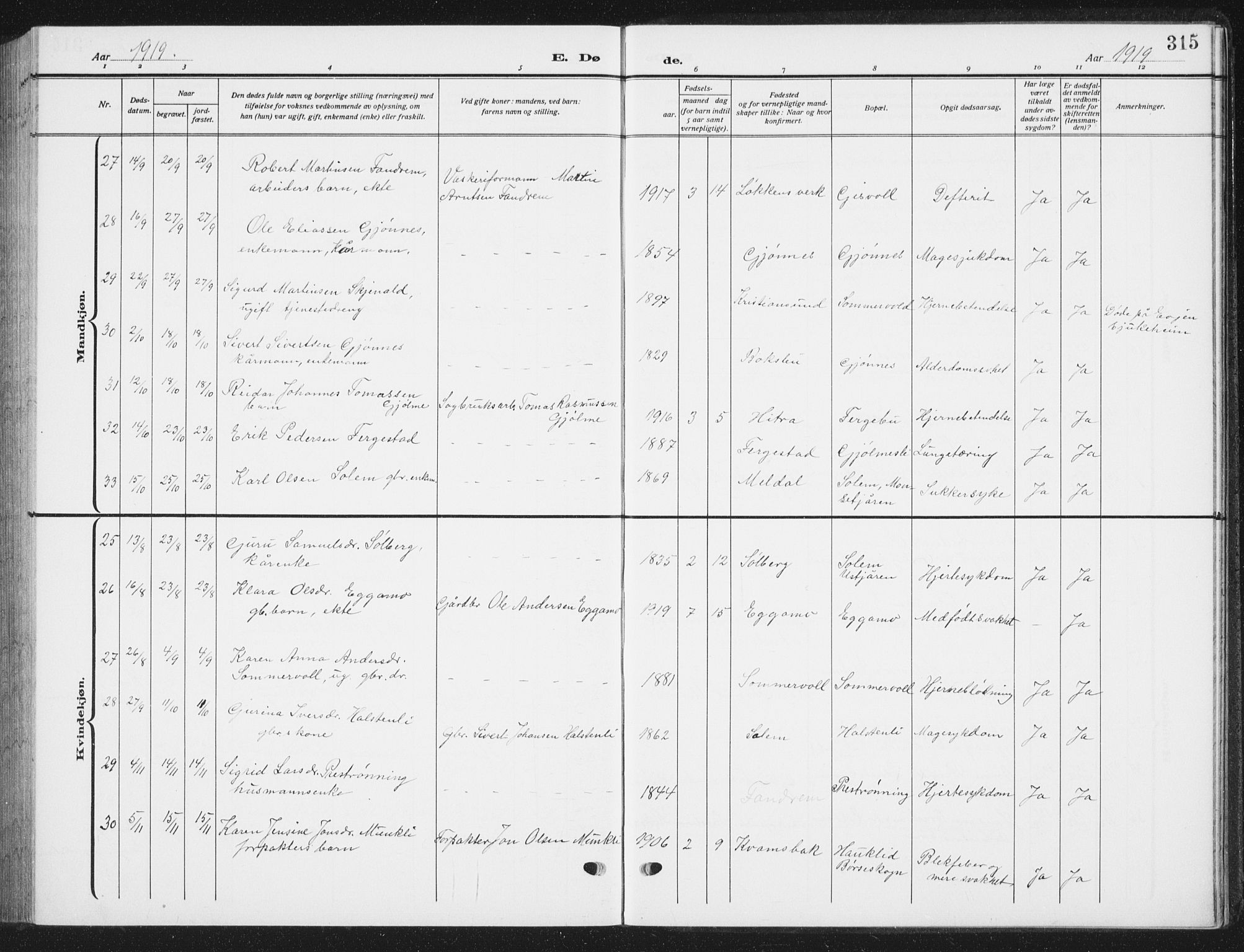 Ministerialprotokoller, klokkerbøker og fødselsregistre - Sør-Trøndelag, AV/SAT-A-1456/668/L0820: Parish register (copy) no. 668C09, 1912-1936, p. 315