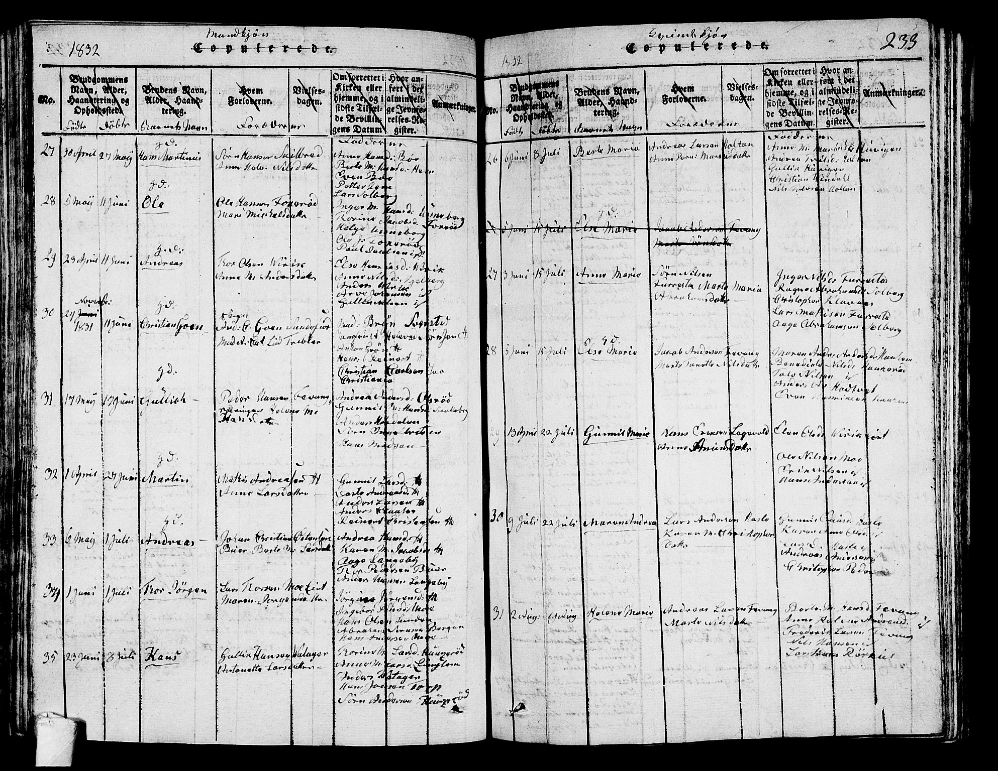 Sandar kirkebøker, SAKO/A-243/G/Ga/L0001: Parish register (copy) no. 1, 1814-1835, p. 233