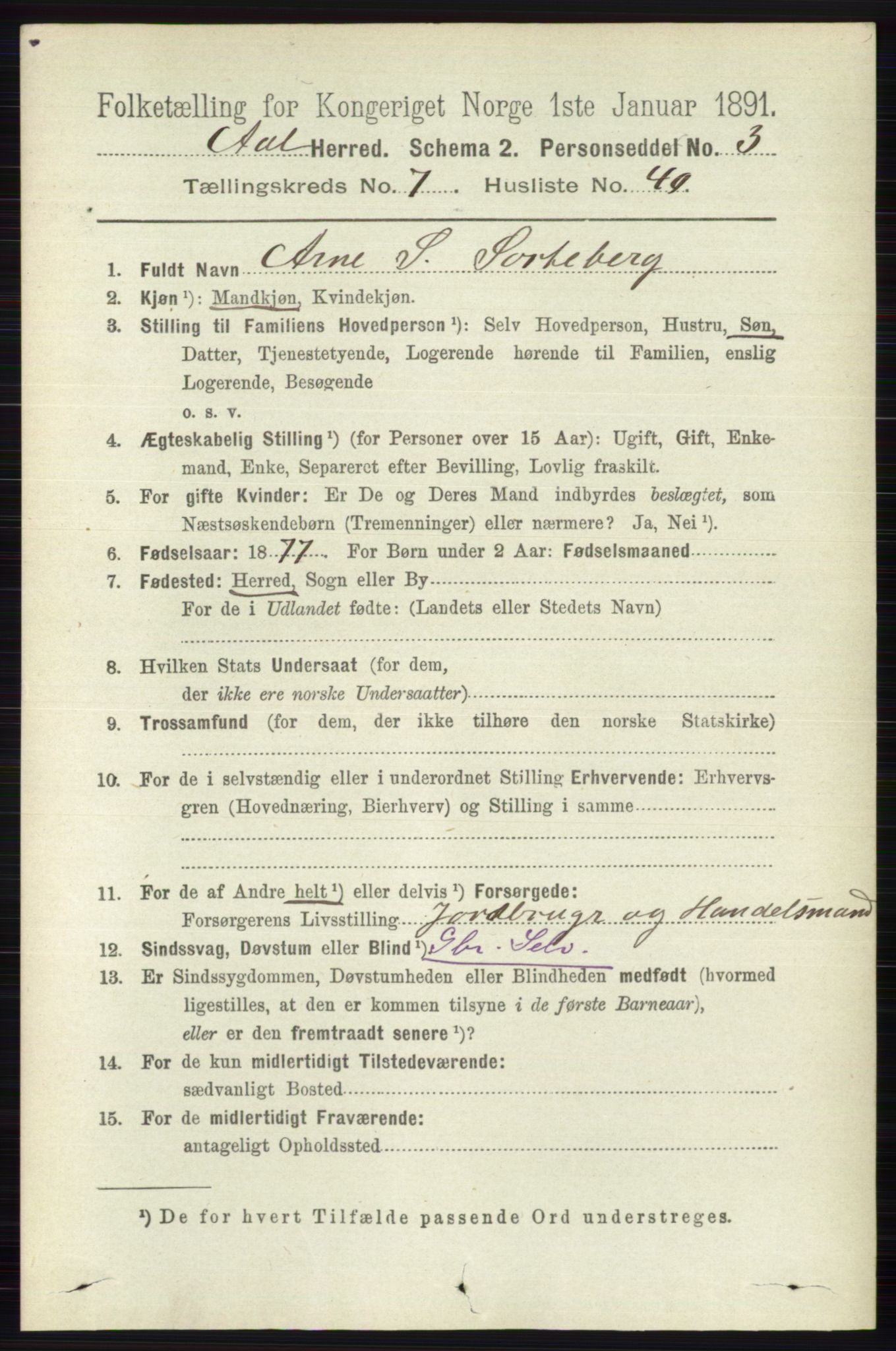 RA, 1891 census for 0619 Ål, 1891, p. 2006