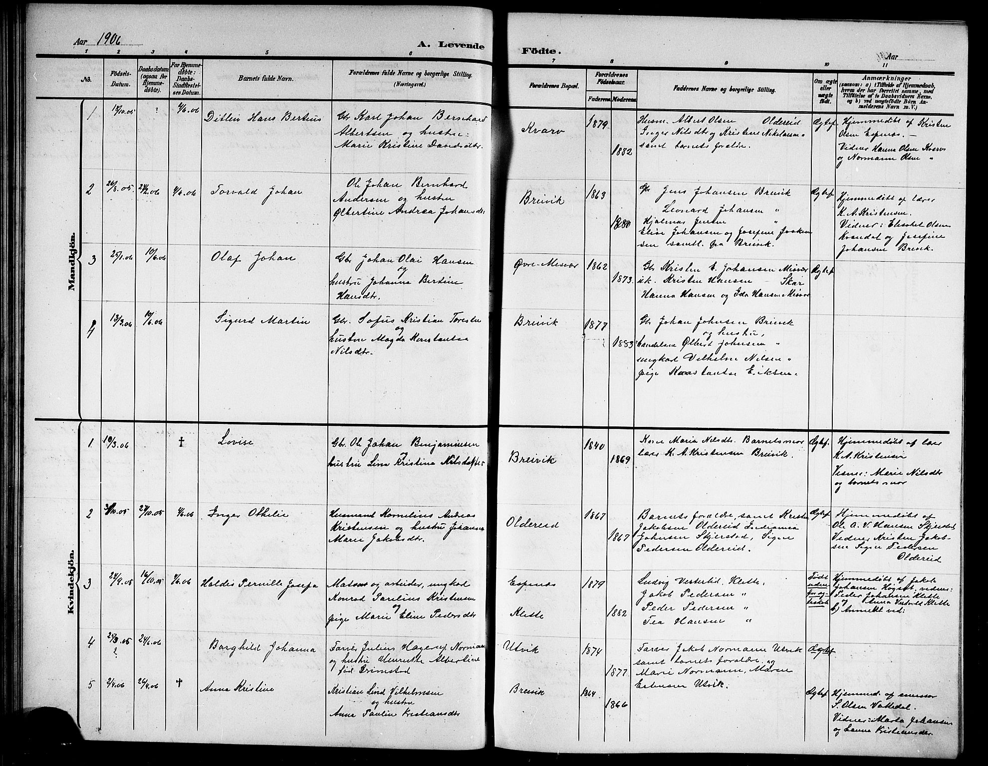 Ministerialprotokoller, klokkerbøker og fødselsregistre - Nordland, AV/SAT-A-1459/852/L0756: Parish register (copy) no. 852C07, 1902-1916