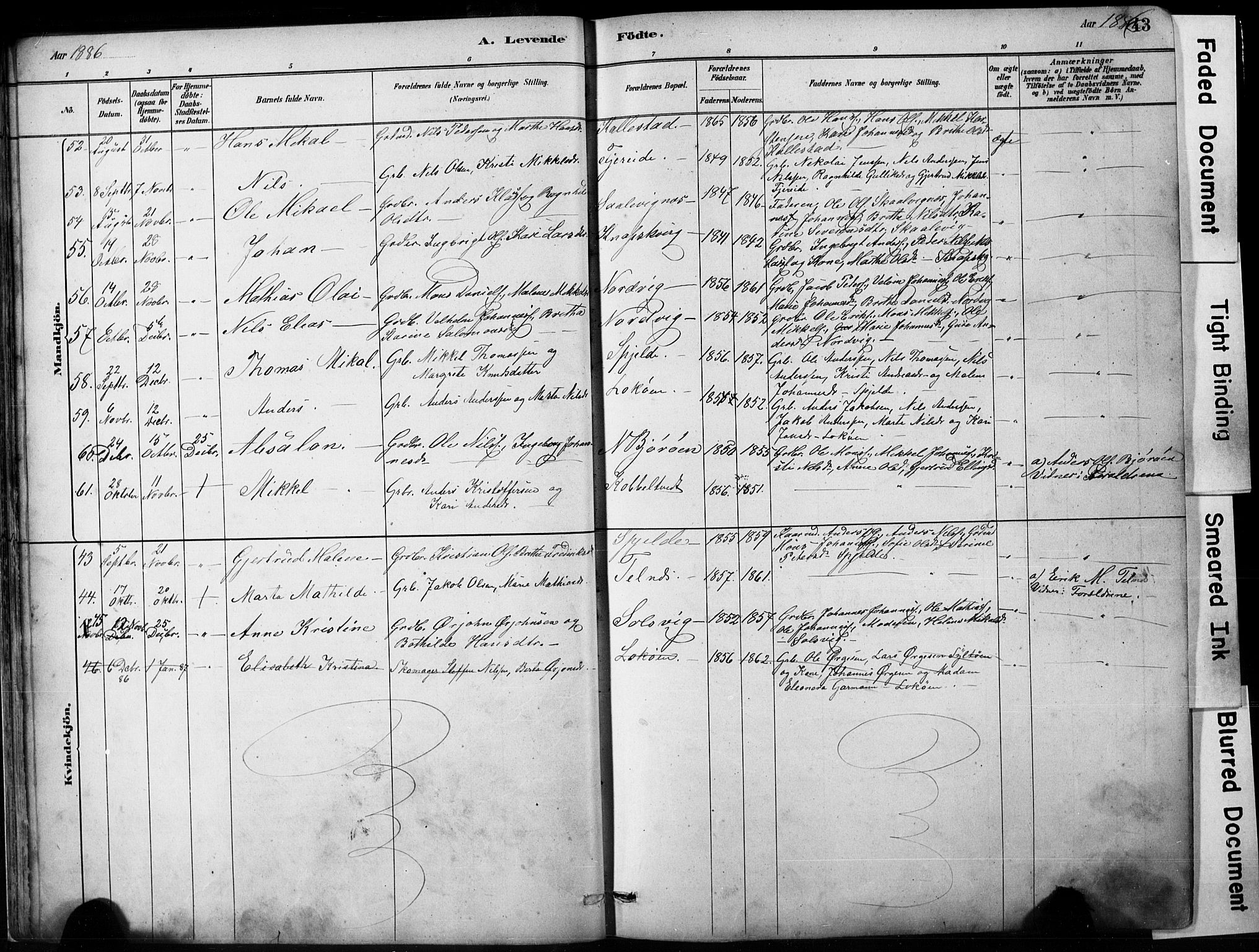 Fjell sokneprestembete, AV/SAB-A-75301/H/Hab: Parish register (copy) no. A 4, 1880-1899, p. 43