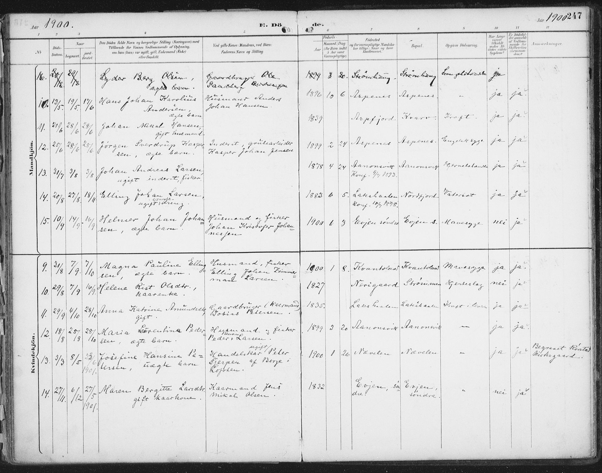 Ministerialprotokoller, klokkerbøker og fødselsregistre - Nordland, AV/SAT-A-1459/854/L0779: Parish register (official) no. 854A02, 1892-1909, p. 247