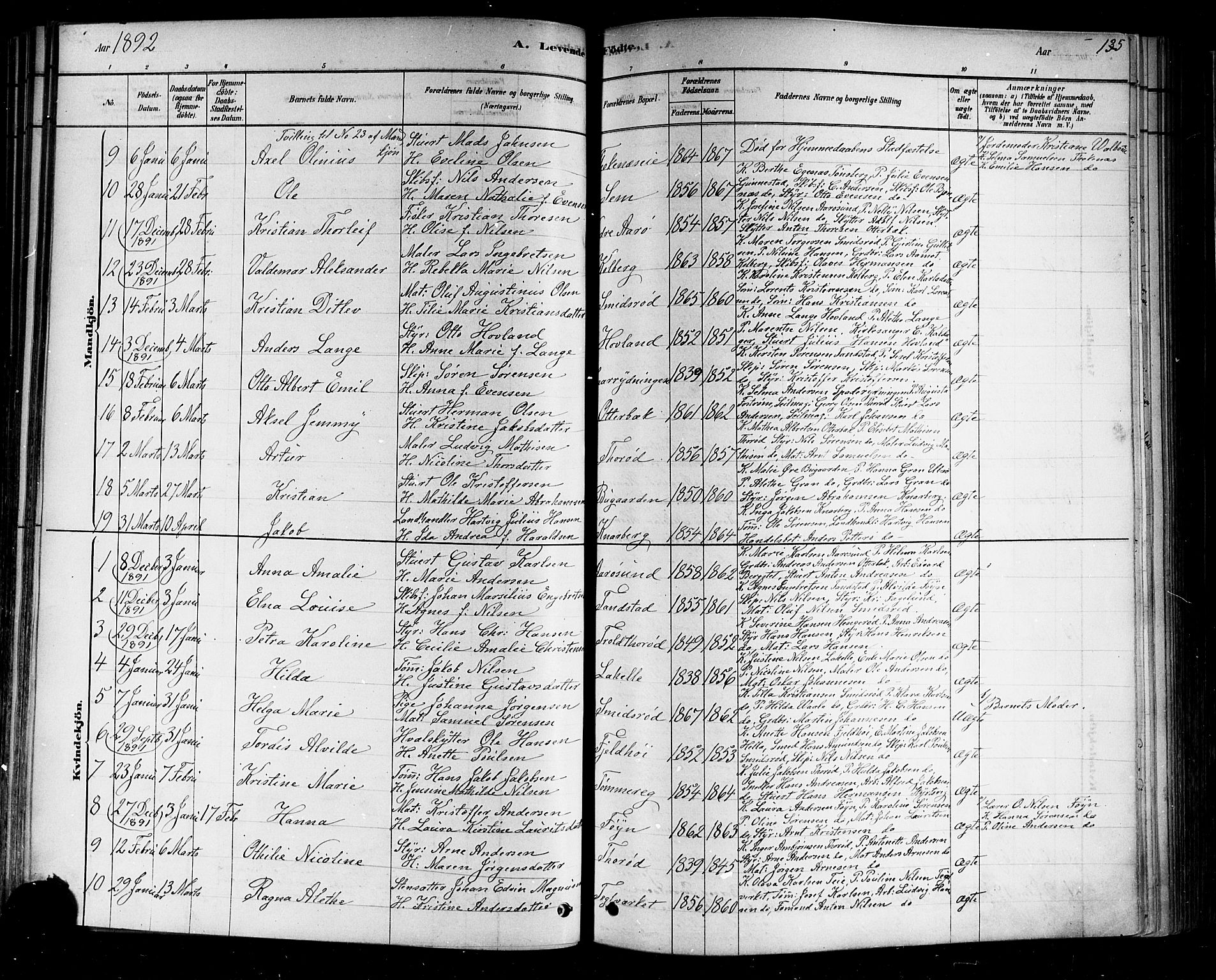 Nøtterøy kirkebøker, AV/SAKO-A-354/F/Fa/L0008: Parish register (official) no. I 8, 1878-1893, p. 135