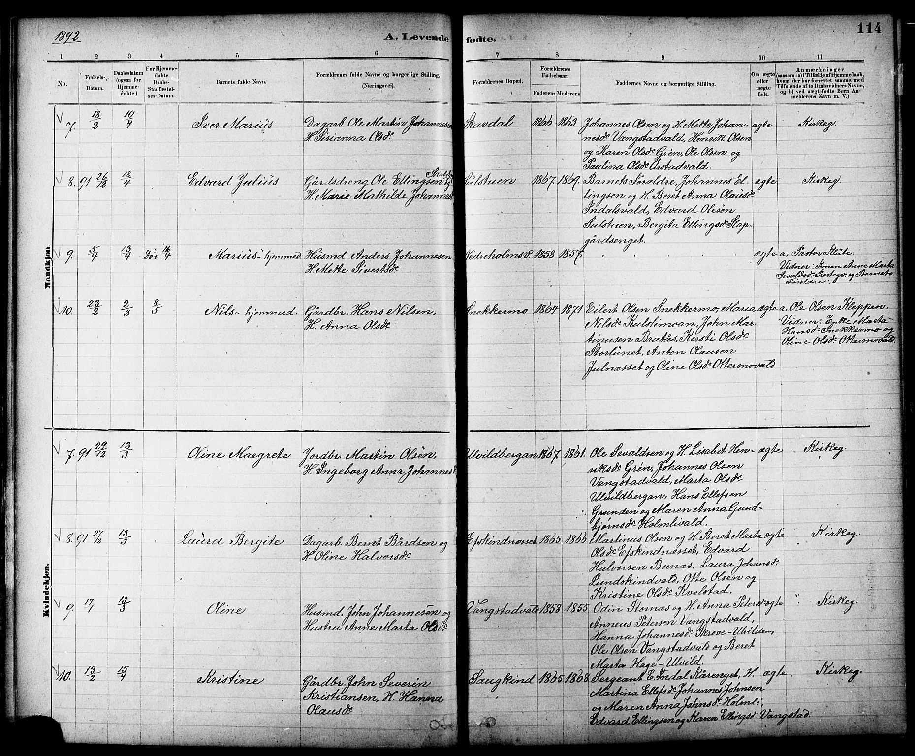 Ministerialprotokoller, klokkerbøker og fødselsregistre - Nord-Trøndelag, AV/SAT-A-1458/724/L0267: Parish register (copy) no. 724C03, 1879-1898, p. 114