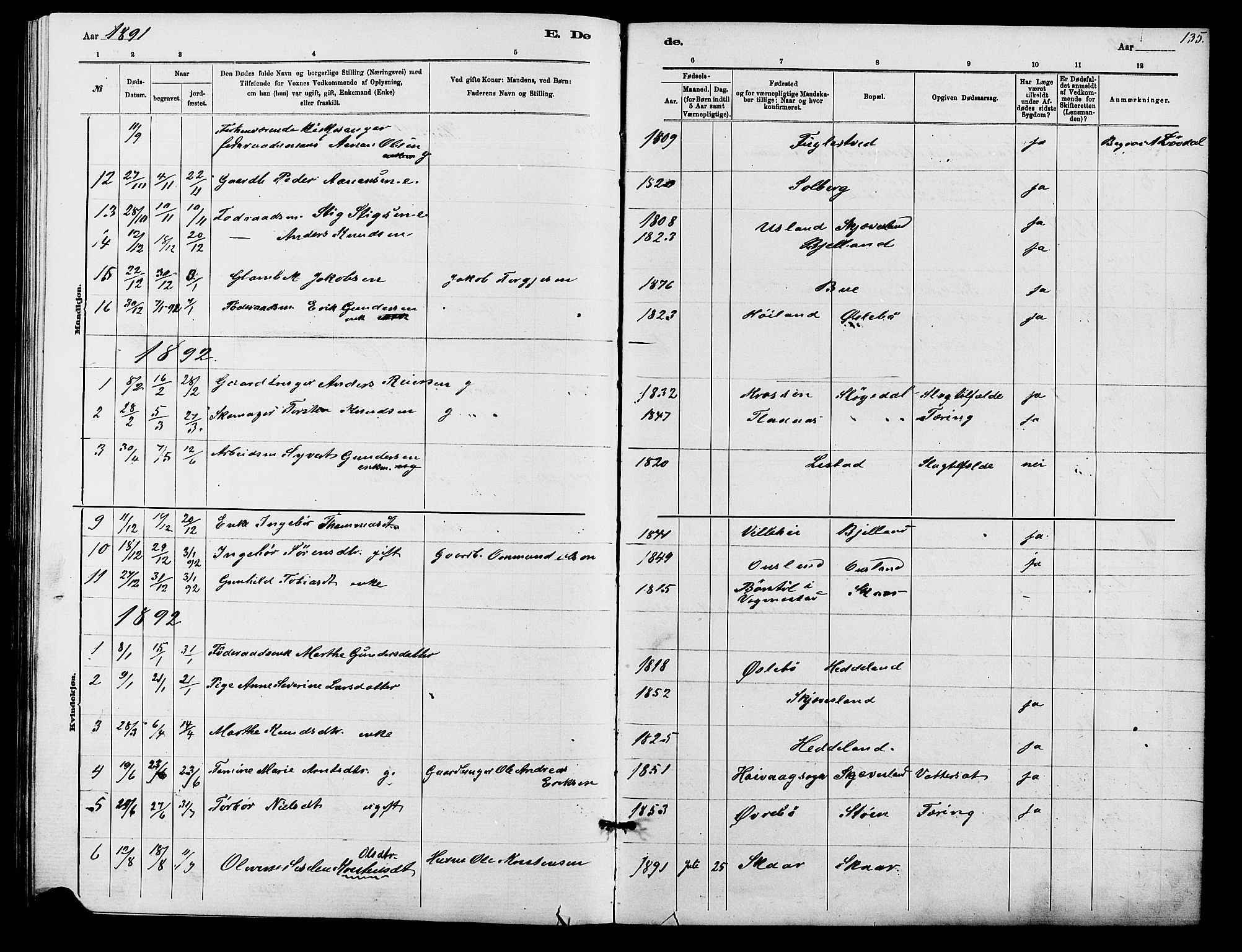Holum sokneprestkontor, SAK/1111-0022/F/Fb/Fbc/L0003: Parish register (copy) no. B 3, 1882-1908, p. 135