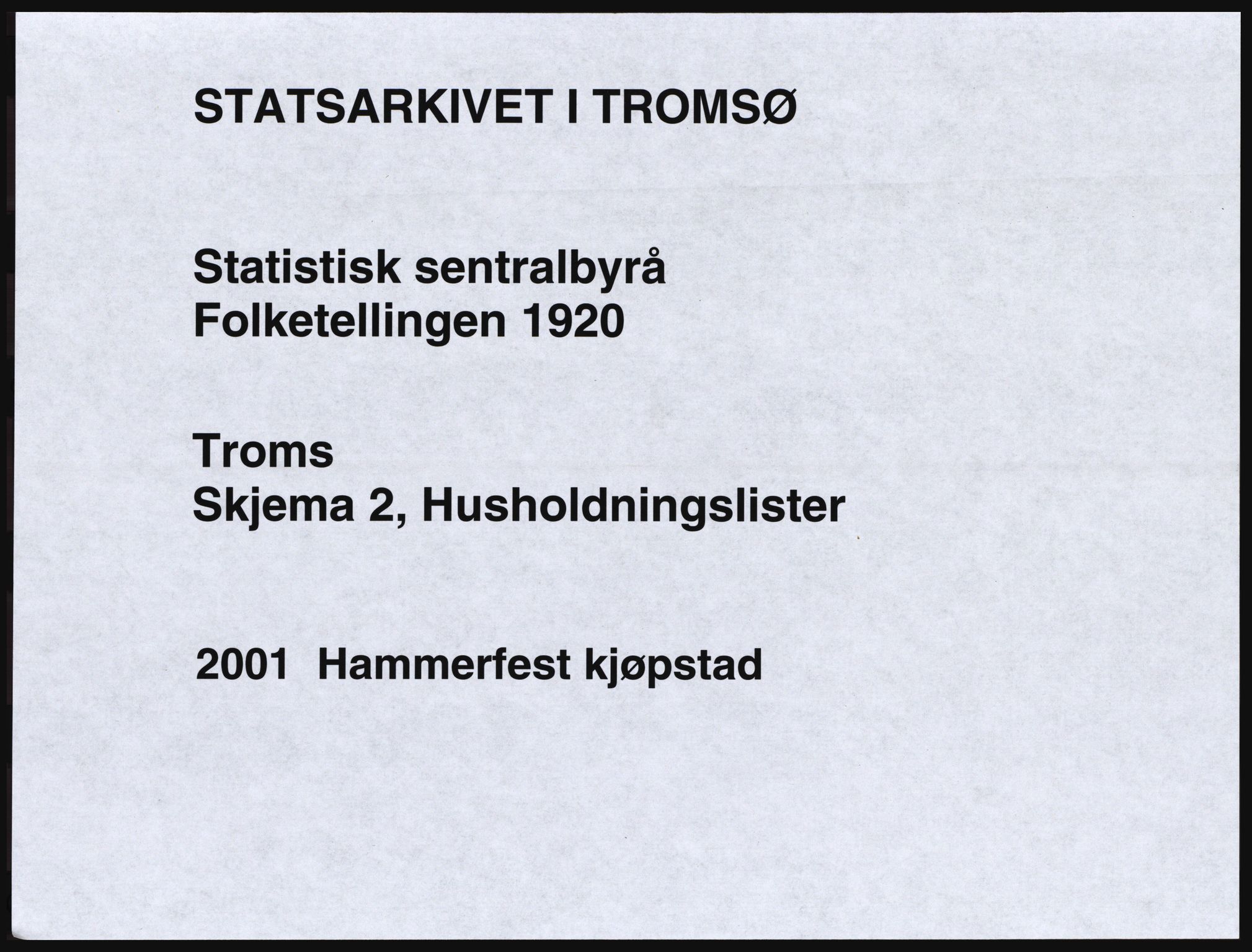 SATØ, 1920 census for Hammerfest, 1920, p. 1028