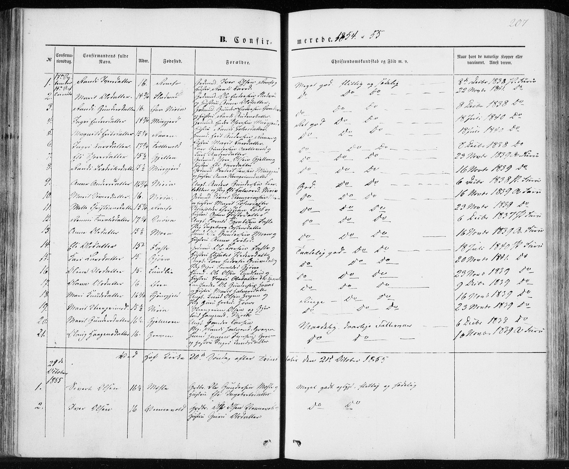 Ministerialprotokoller, klokkerbøker og fødselsregistre - Møre og Romsdal, SAT/A-1454/590/L1013: Parish register (official) no. 590A05, 1847-1877, p. 207