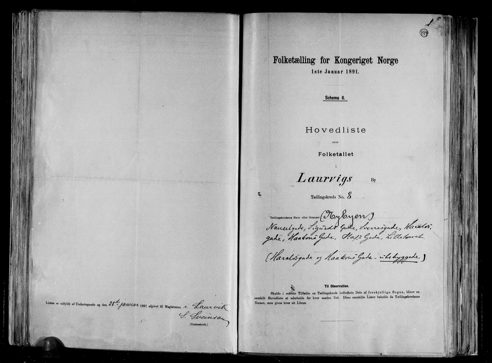 RA, 1891 census for 0707 Larvik, 1891, p. 19