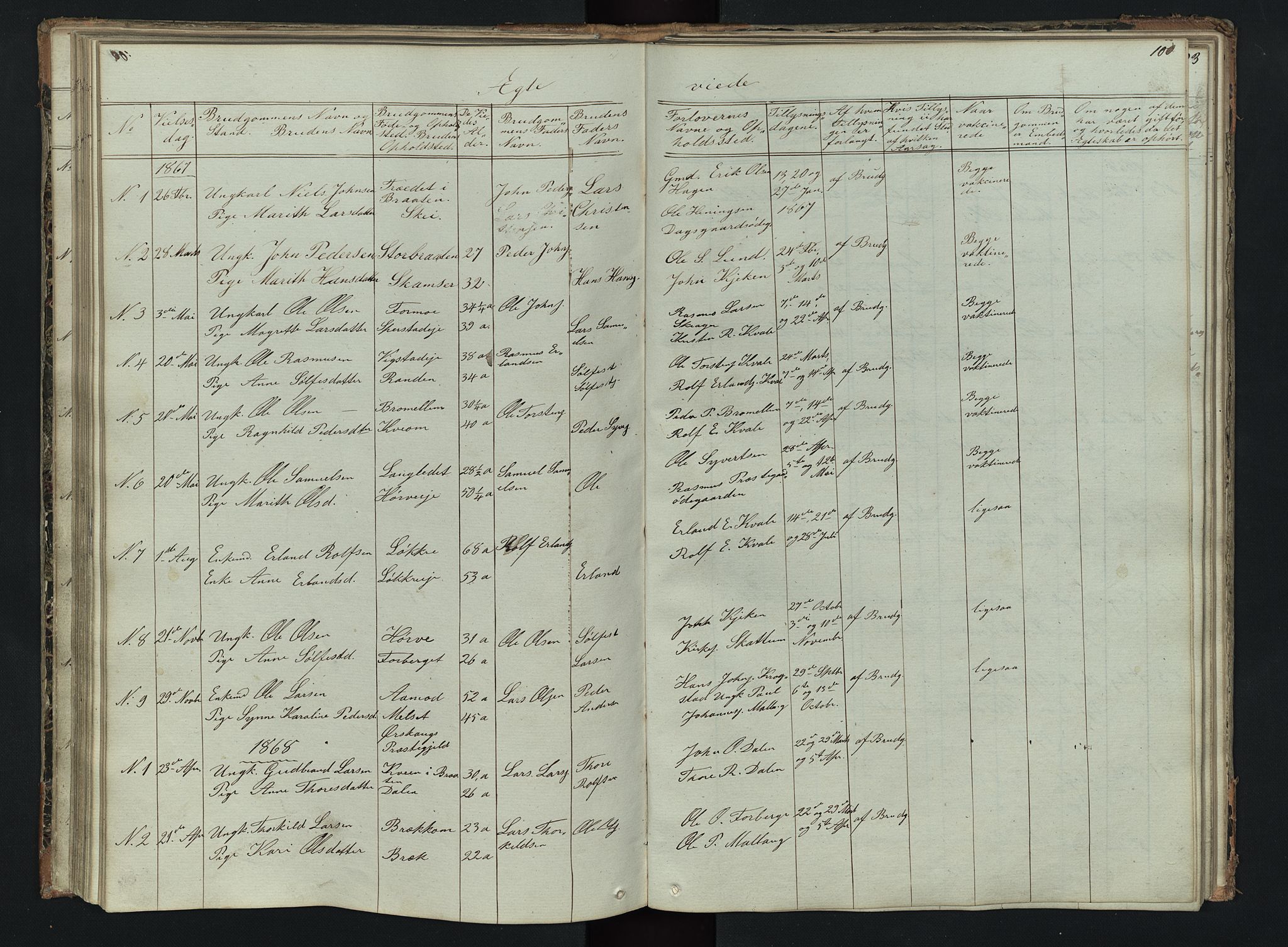 Skjåk prestekontor, SAH/PREST-072/H/Ha/Hab/L0002: Parish register (copy) no. 2, 1867-1894, p. 100