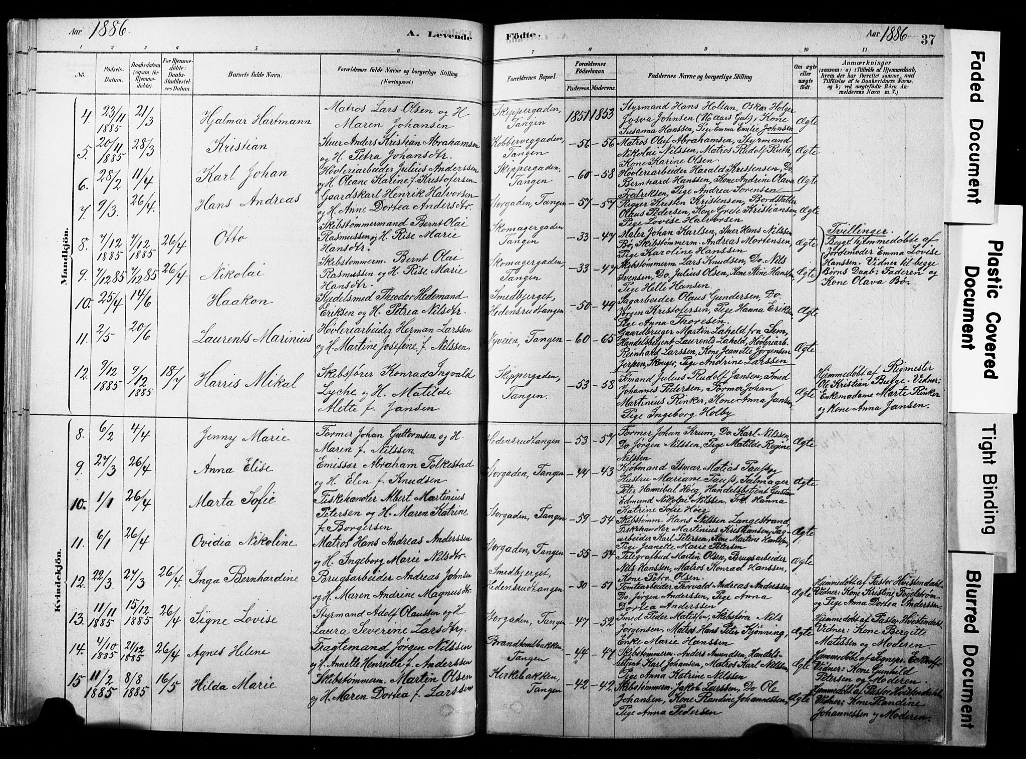 Strømsø kirkebøker, AV/SAKO-A-246/F/Fb/L0006: Parish register (official) no. II 6, 1879-1910, p. 37