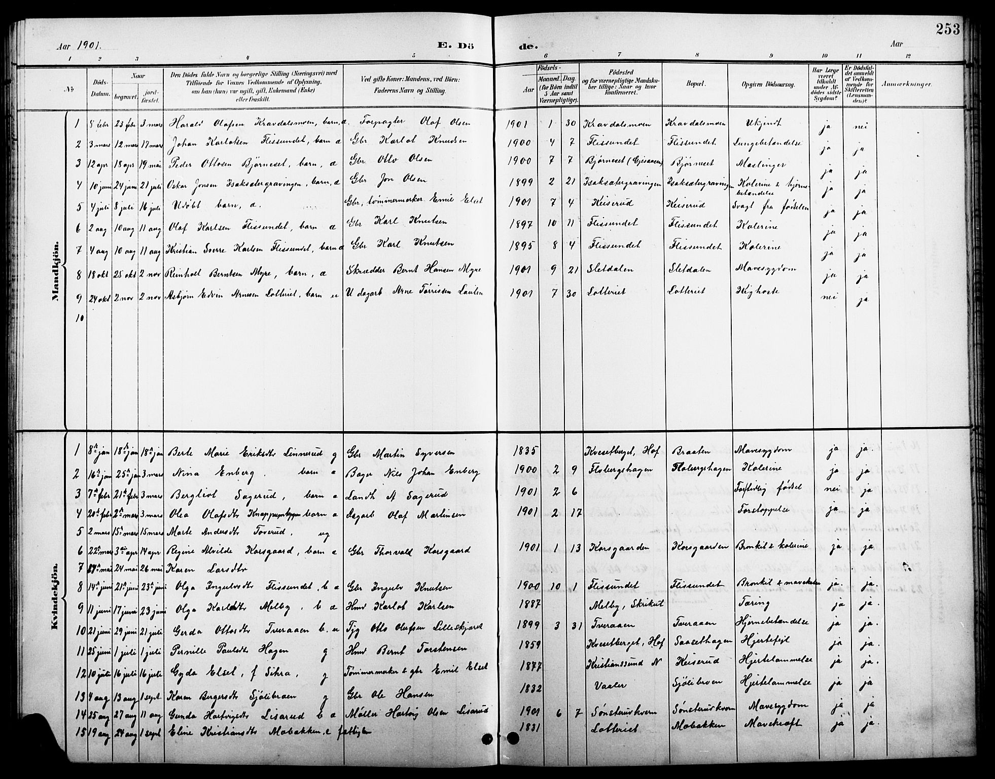 Åsnes prestekontor, SAH/PREST-042/H/Ha/Hab/L0004: Parish register (copy) no. 4, 1895-1909, p. 253