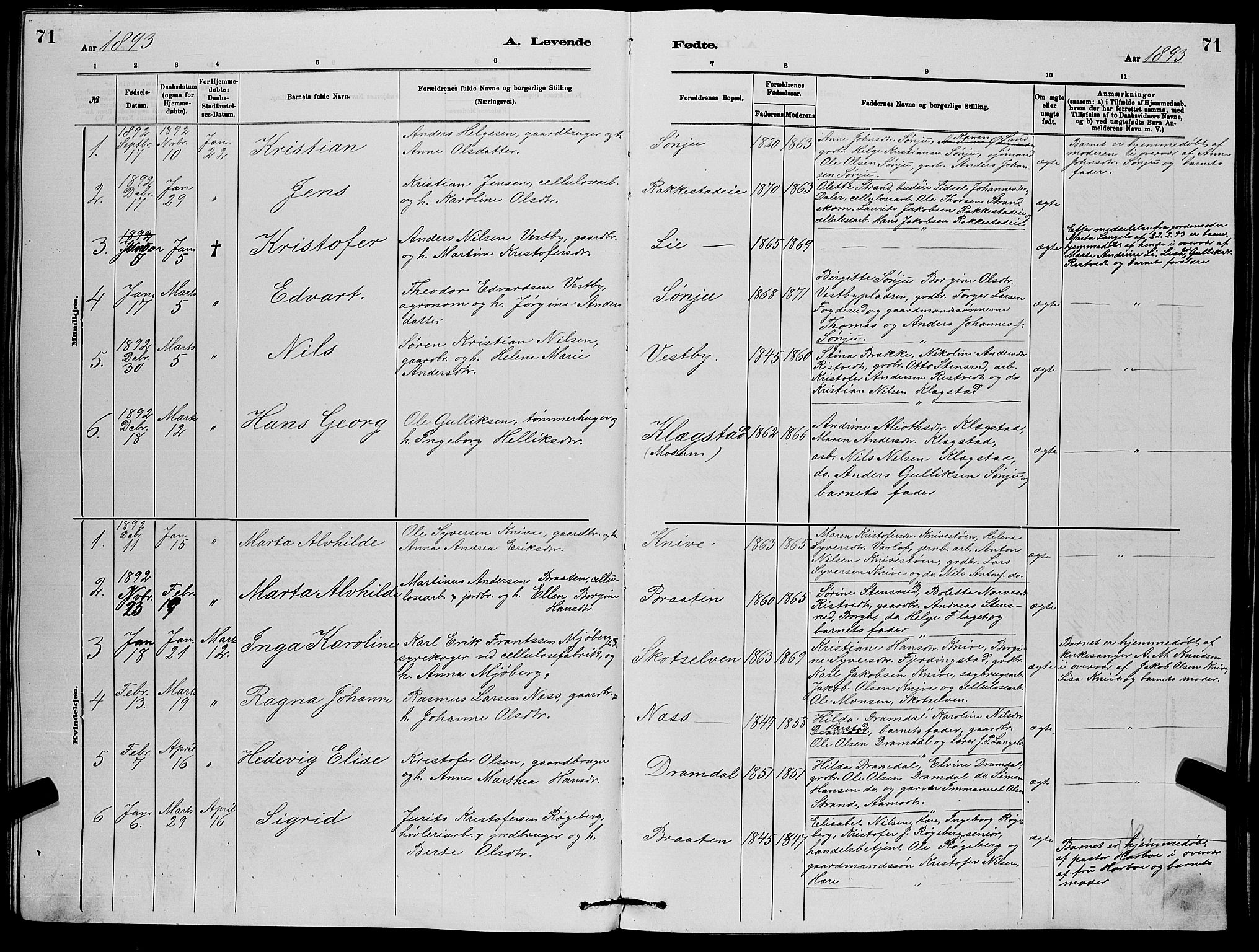 Eiker kirkebøker, AV/SAKO-A-4/G/Gb/L0003: Parish register (copy) no. II 3, 1880-1893, p. 71