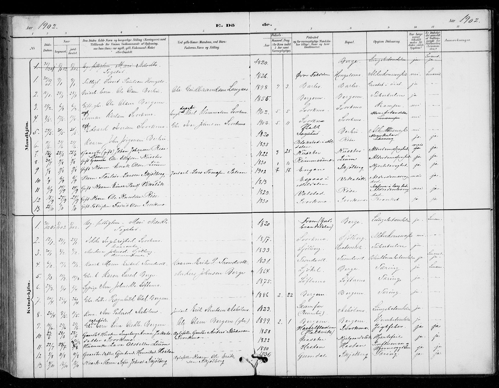 Ministerialprotokoller, klokkerbøker og fødselsregistre - Sør-Trøndelag, SAT/A-1456/671/L0841: Parish register (official) no. 671A03, 1893-1915