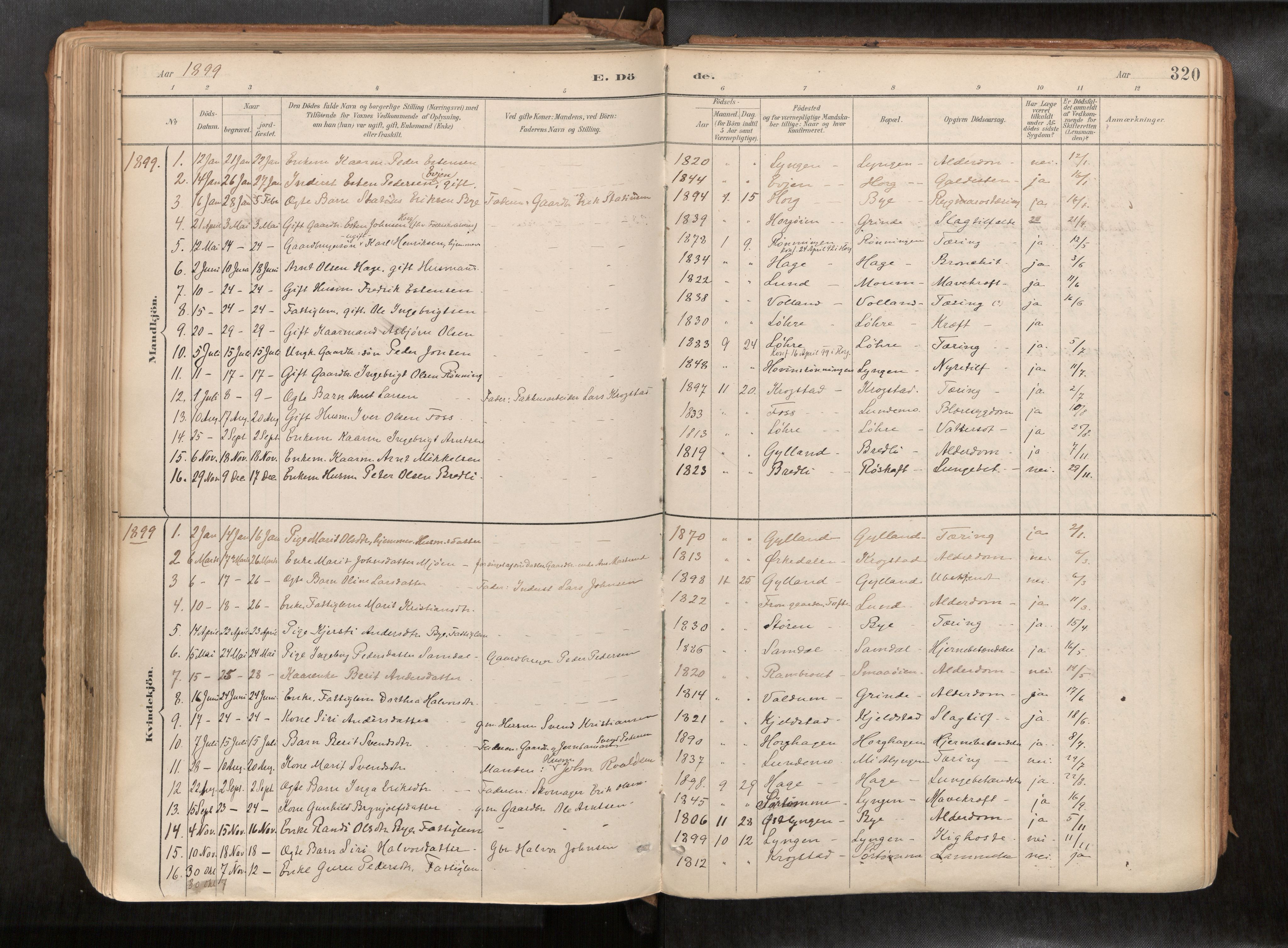 Ministerialprotokoller, klokkerbøker og fødselsregistre - Sør-Trøndelag, SAT/A-1456/692/L1105b: Parish register (official) no. 692A06, 1891-1934, p. 320