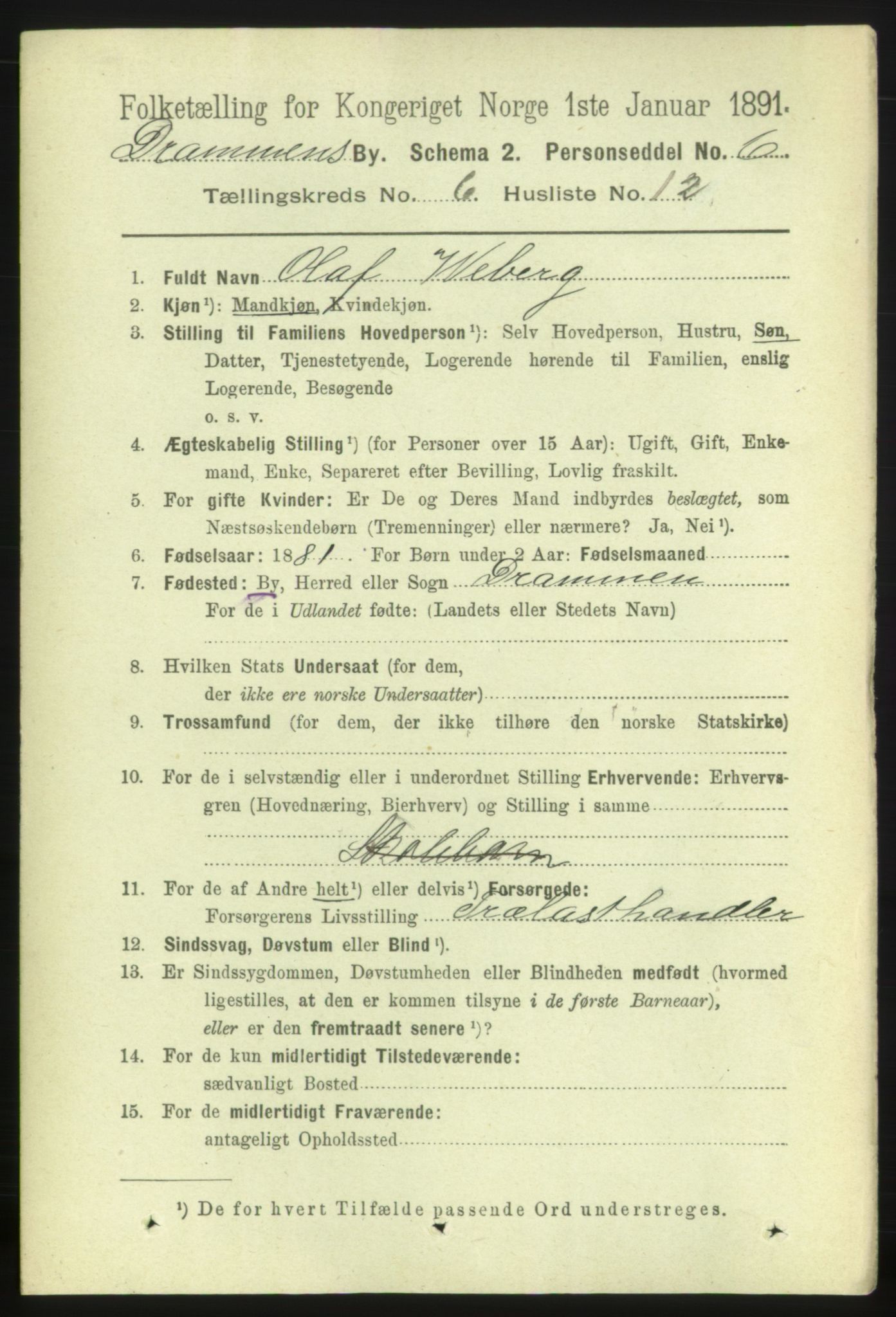 RA, 1891 census for 0602 Drammen, 1891, p. 6221