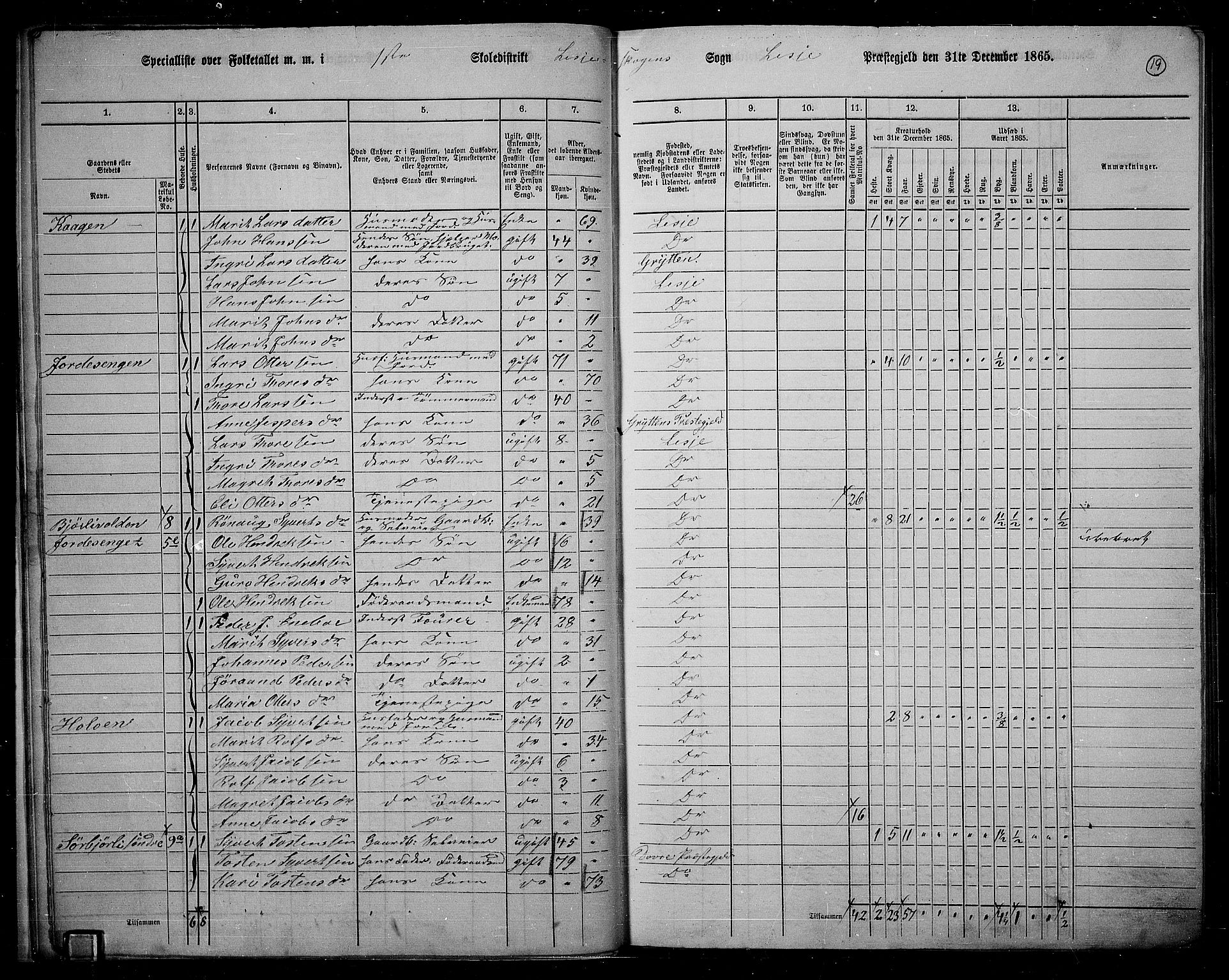 RA, 1865 census for Lesja, 1865, p. 20