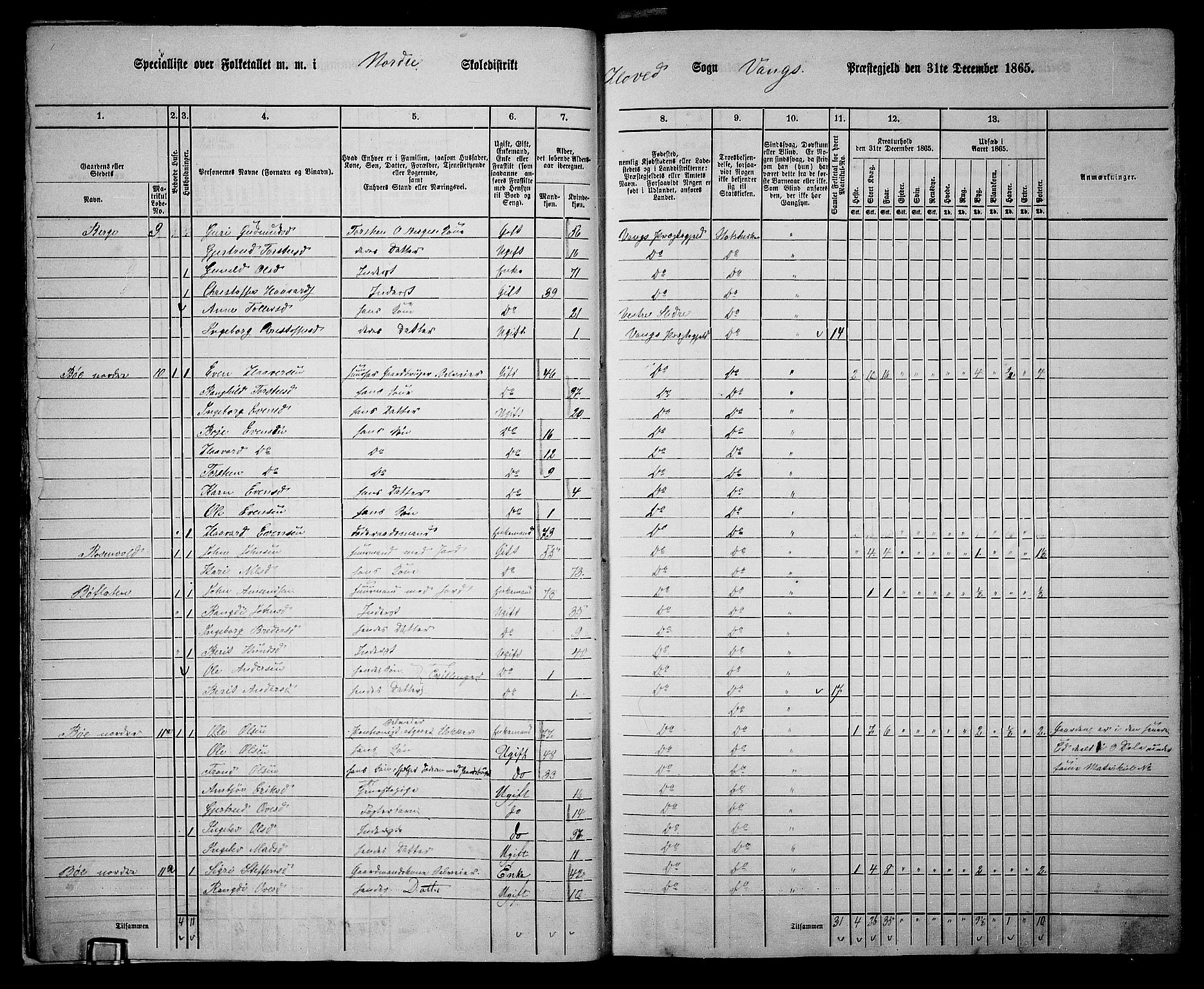 RA, 1865 census for Vang, 1865, p. 14