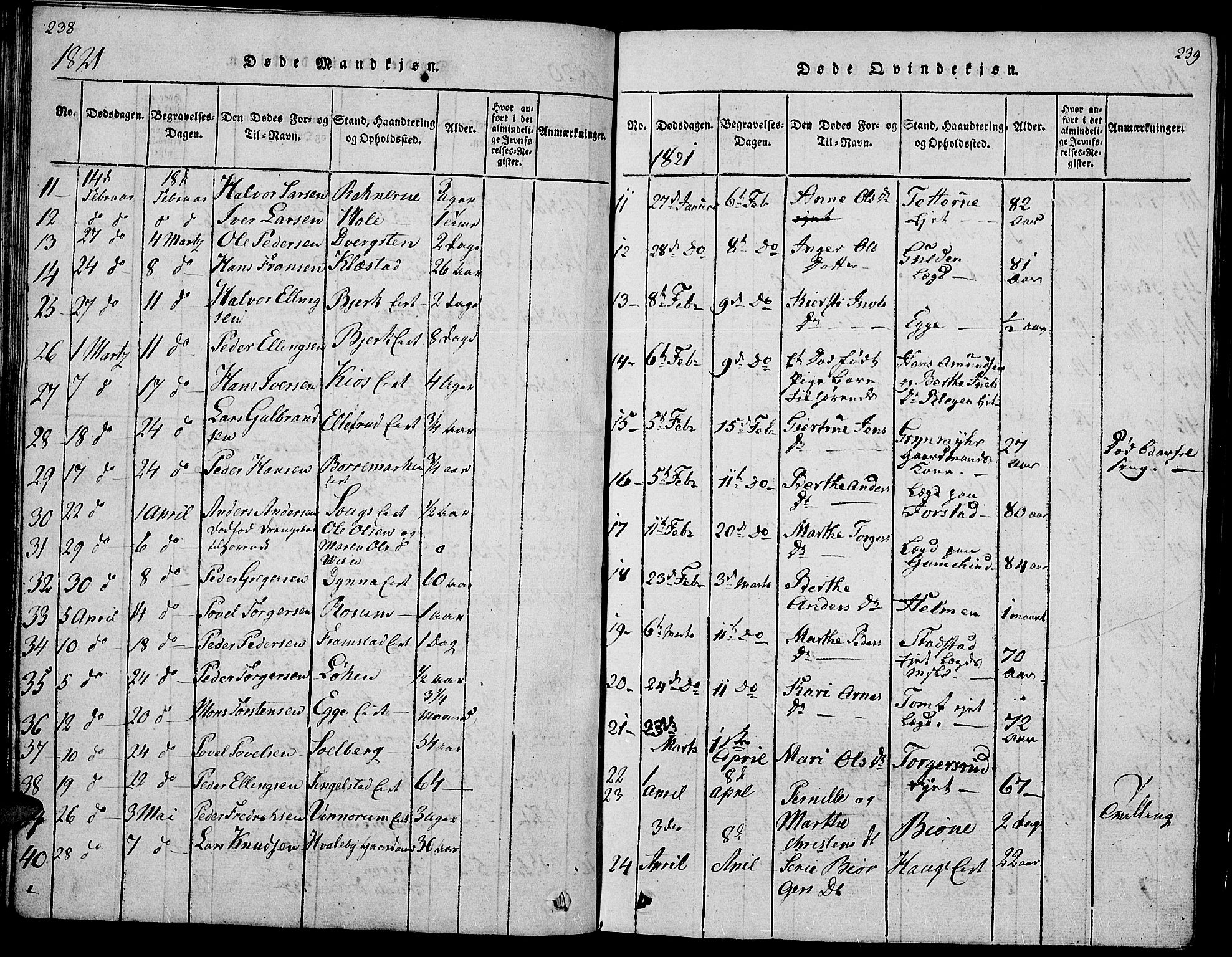 Gran prestekontor, AV/SAH-PREST-112/H/Ha/Hab/L0001: Parish register (copy) no. 1, 1815-1824, p. 238-239