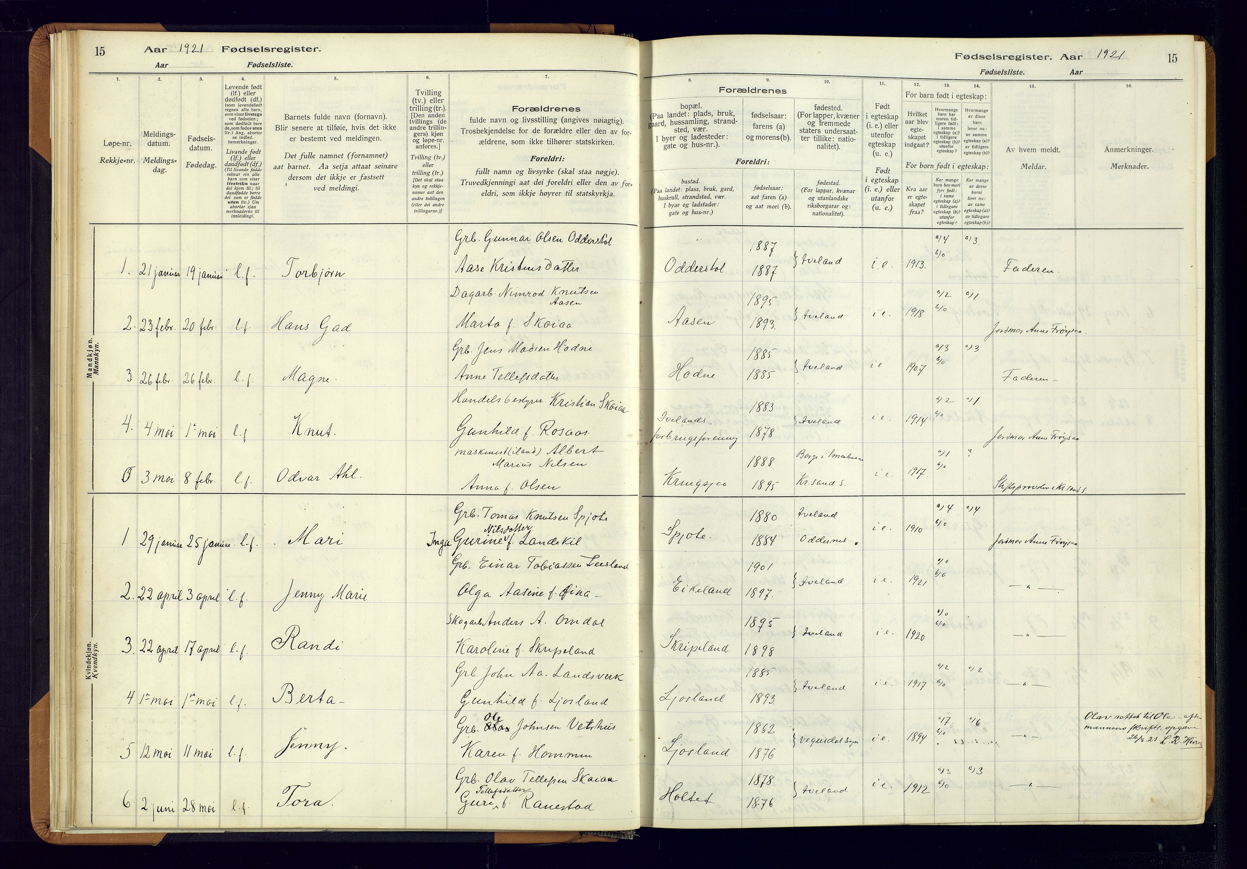 Evje sokneprestkontor, AV/SAK-1111-0008/J/Jc/L0003: Birth register no. II.4.3, 1916-1982, p. 15