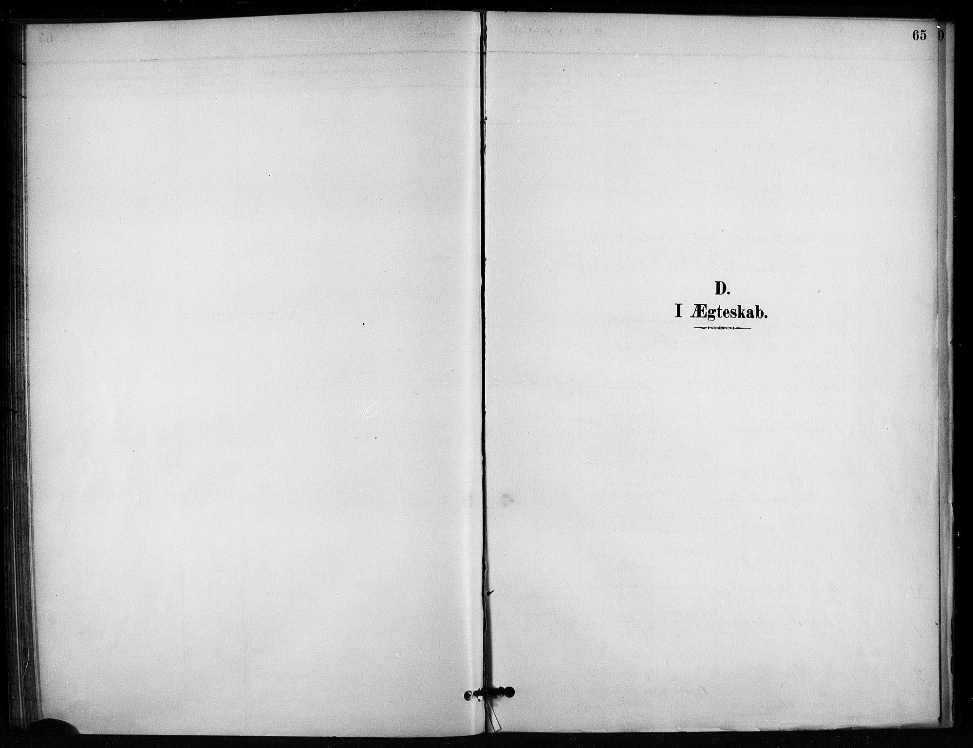 Enebakk prestekontor Kirkebøker, SAO/A-10171c/F/Fb/L0001: Parish register (official) no. II 1, 1877-1902, p. 65