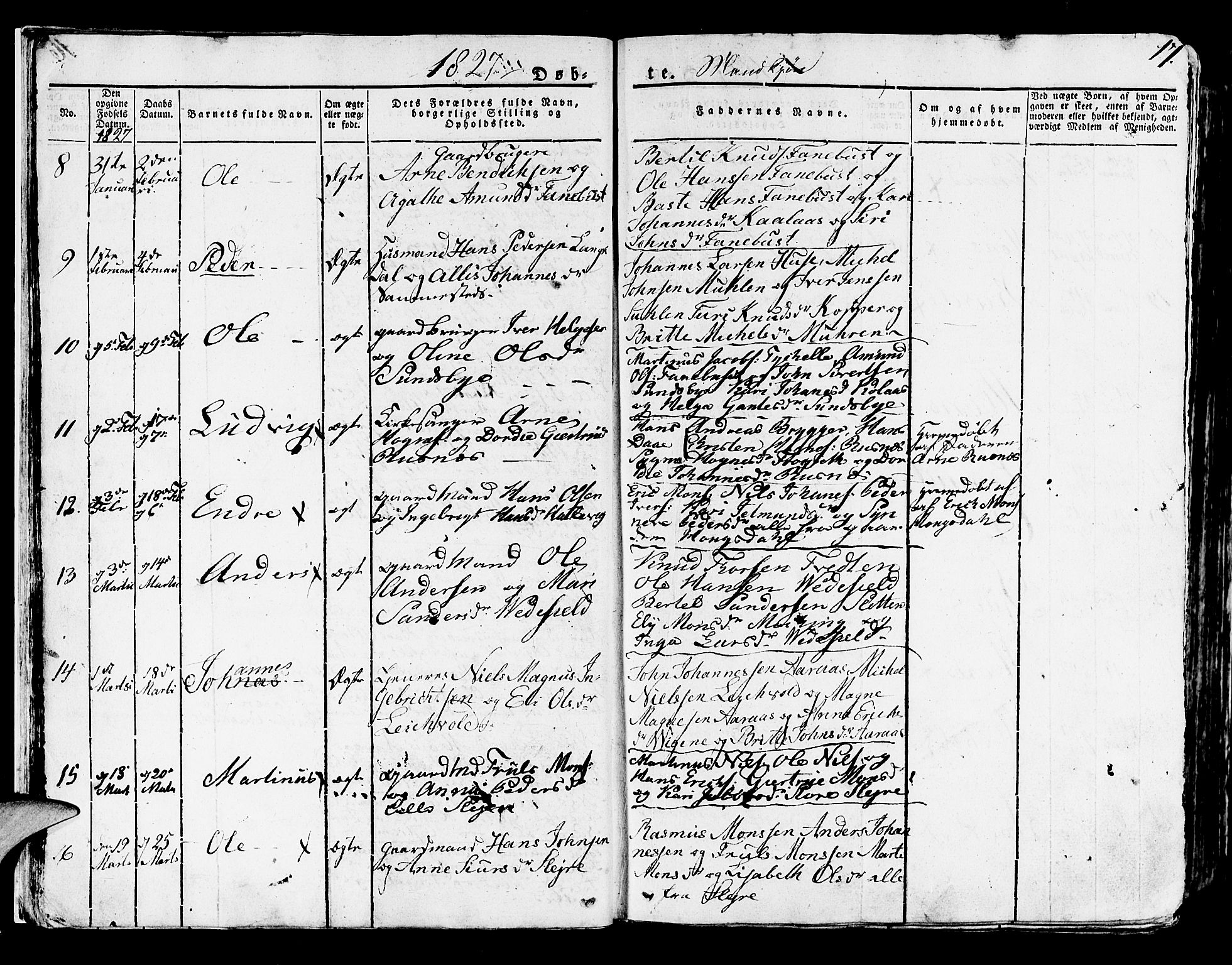 Lindås Sokneprestembete, SAB/A-76701/H/Haa: Parish register (official) no. A 8, 1823-1836, p. 17
