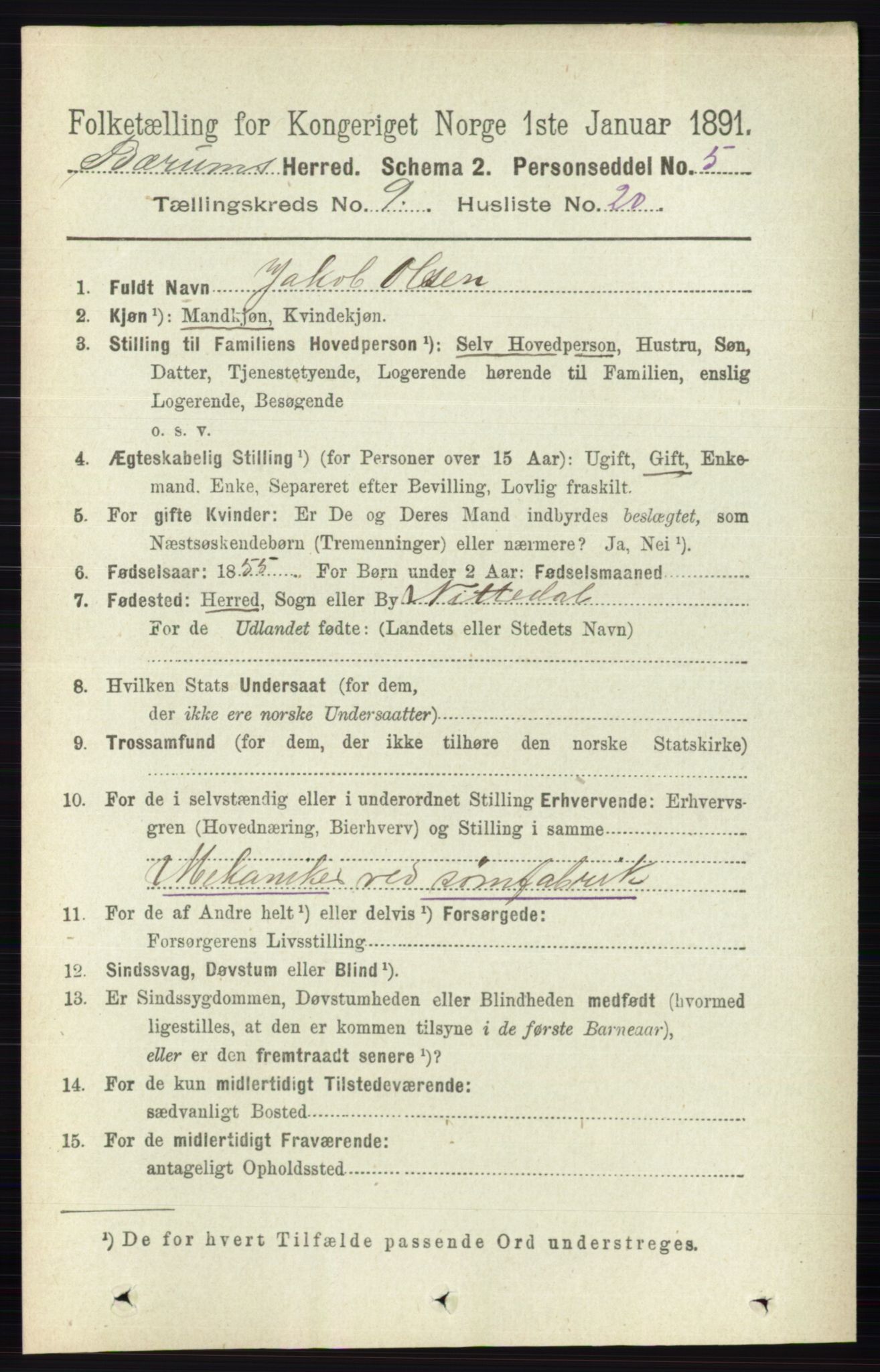 RA, 1891 census for 0219 Bærum, 1891, p. 5293