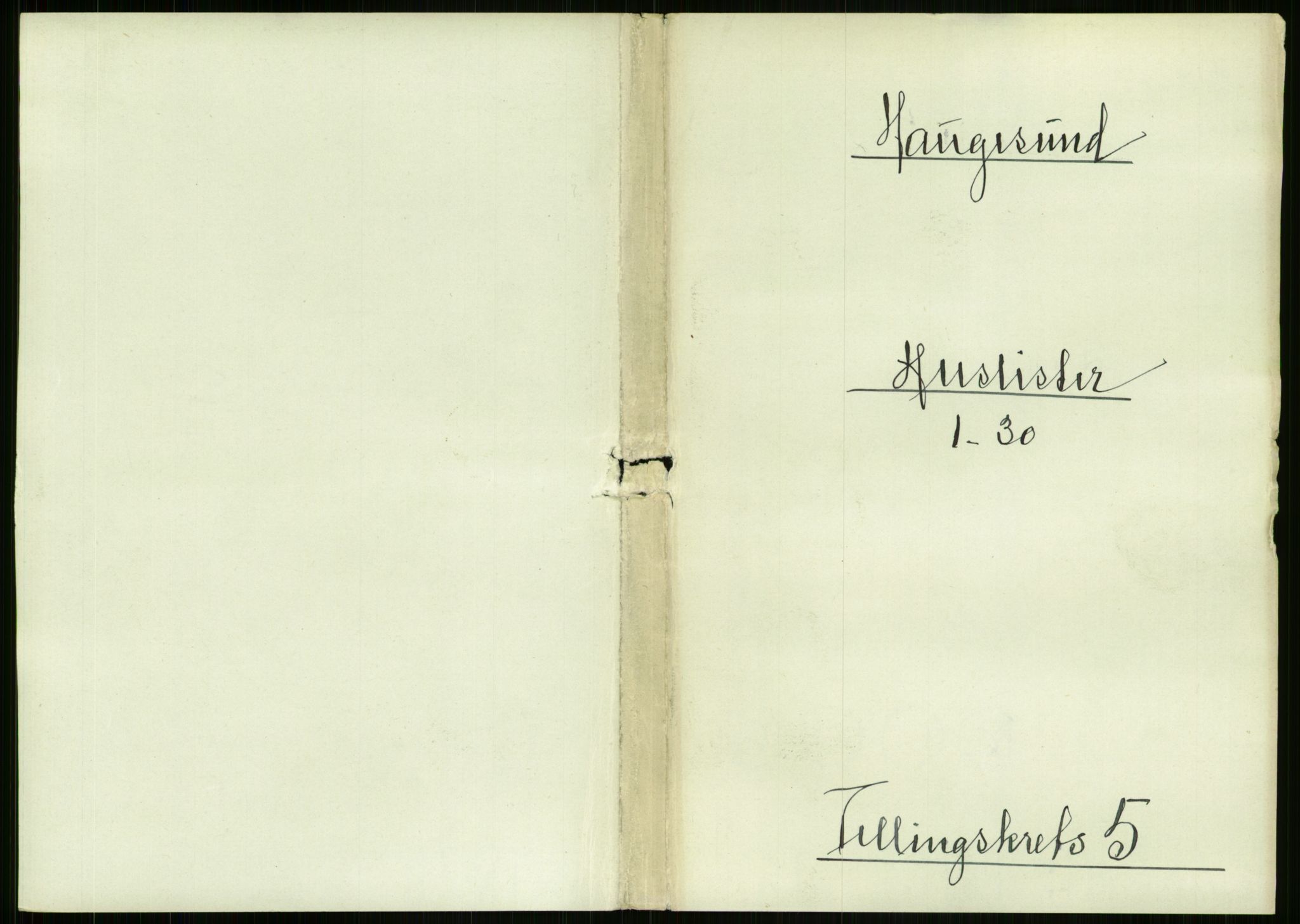 RA, 1891 census for 1106 Haugesund, 1891, p. 319