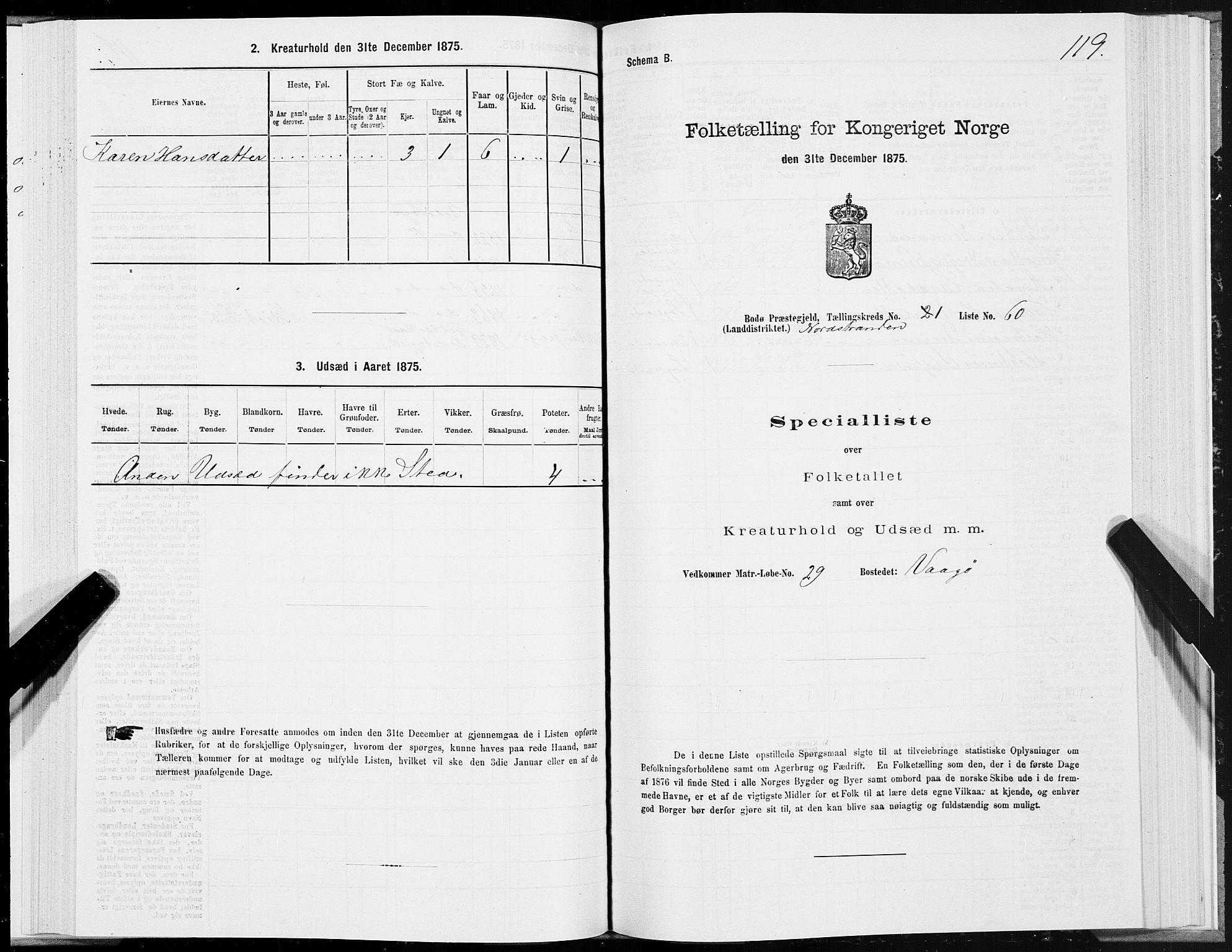 SAT, 1875 census for 1843L Bodø/Bodø, 1875, p. 1119