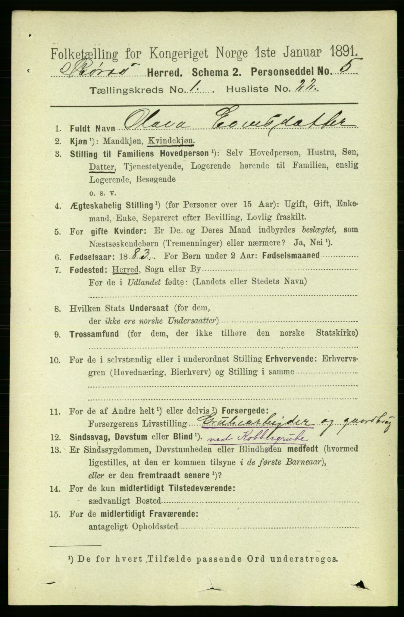 RA, 1891 census for 1640 Røros, 1891, p. 219