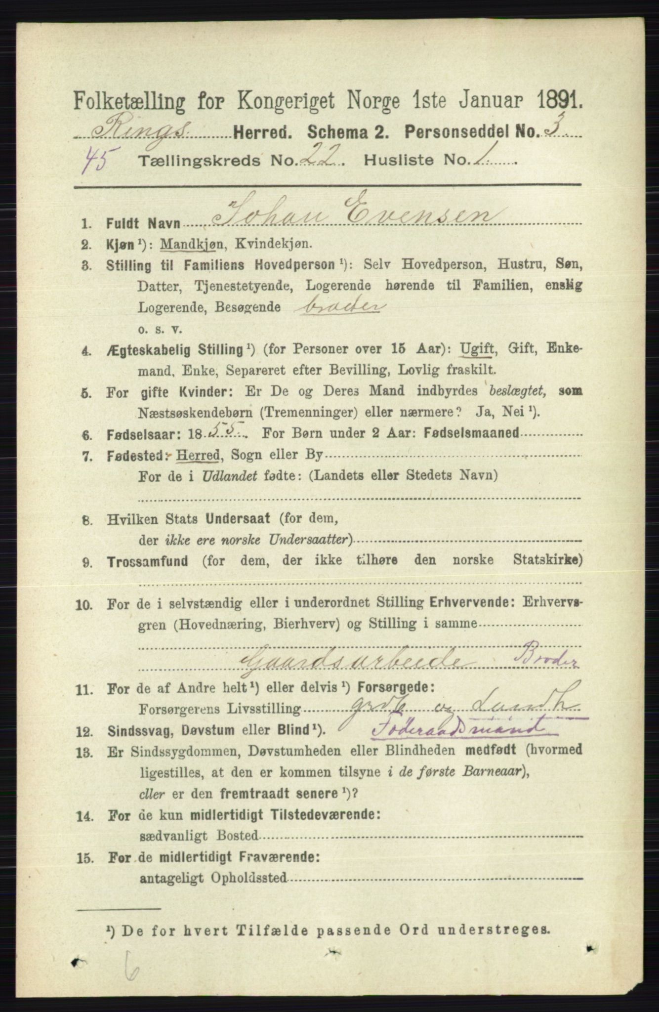 RA, 1891 census for 0412 Ringsaker, 1891, p. 12374