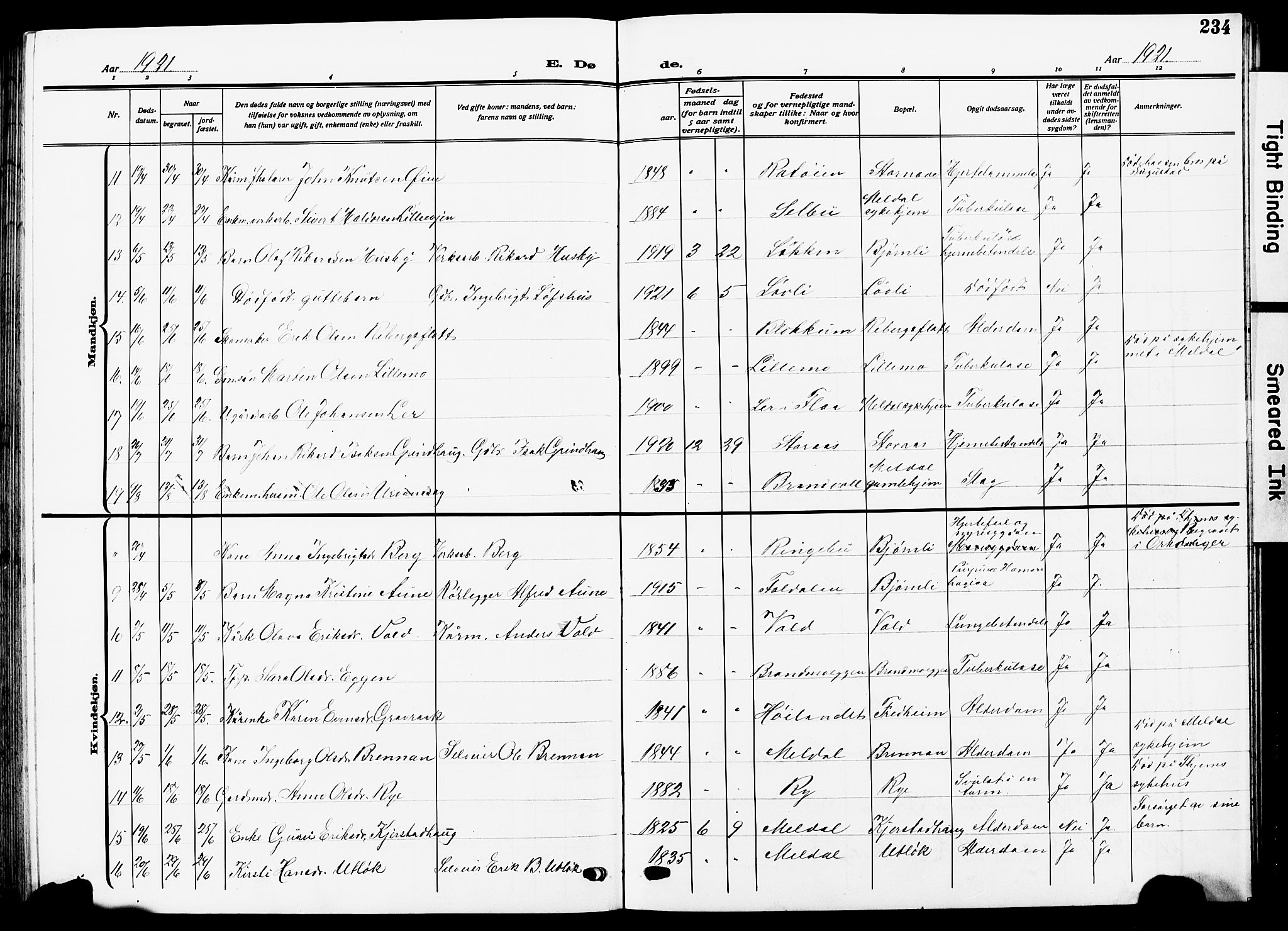 Ministerialprotokoller, klokkerbøker og fødselsregistre - Sør-Trøndelag, SAT/A-1456/672/L0865: Parish register (copy) no. 672C04, 1914-1928, p. 234