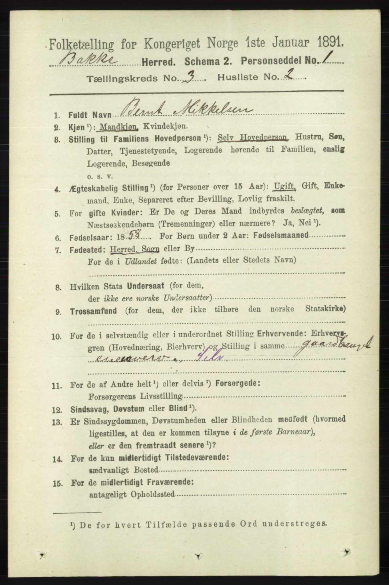 RA, 1891 census for 1045 Bakke, 1891, p. 415