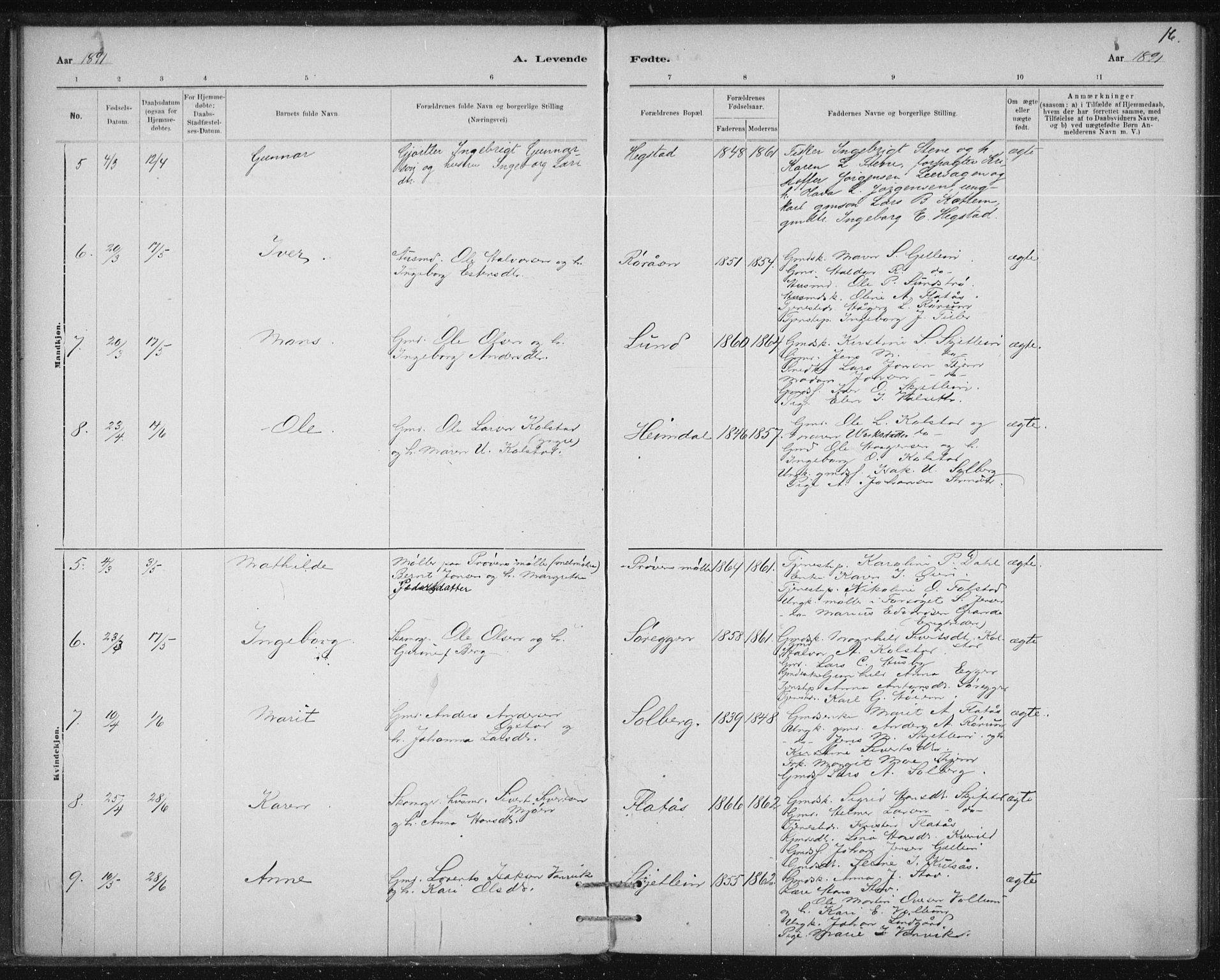 Ministerialprotokoller, klokkerbøker og fødselsregistre - Sør-Trøndelag, AV/SAT-A-1456/613/L0392: Parish register (official) no. 613A01, 1887-1906, p. 16